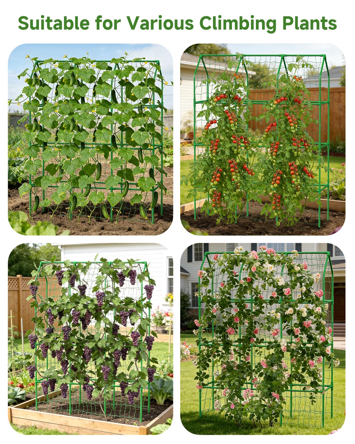 Cucumber Trellis for Climbing Plants Outdoor, A-Shape Garden Trellis for Raised Bed, Metal Plant Trellis with Garden Netting for Flower Vegetables, Pea, Grape (50 * 17 * 65inch(L*W*H)