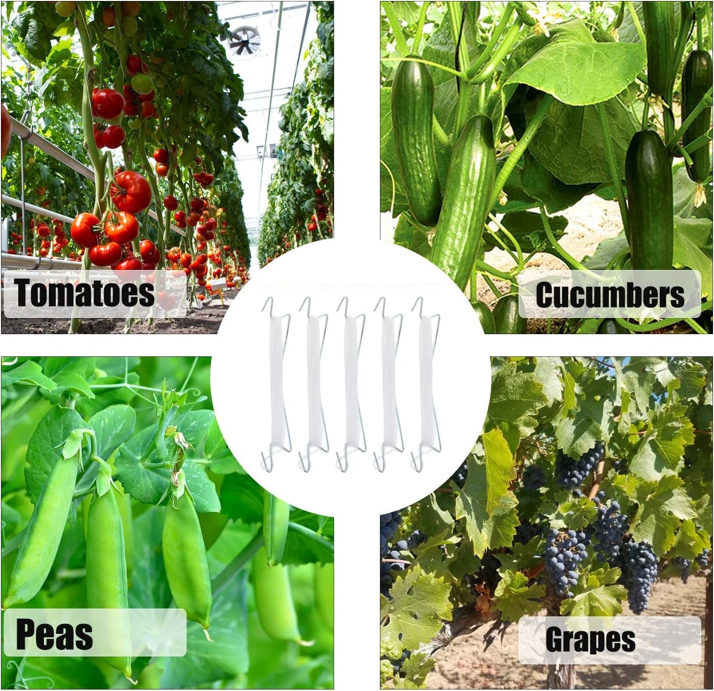 Bandelt 20pcs Tomato Support Hooks with 100pcs Tomato Clips, Tomato Climbing Hooks with 39ft Twine to Prevent Tomatoes from Pinching or Falling Off for Plant Vegetable Plant Fruit Flower