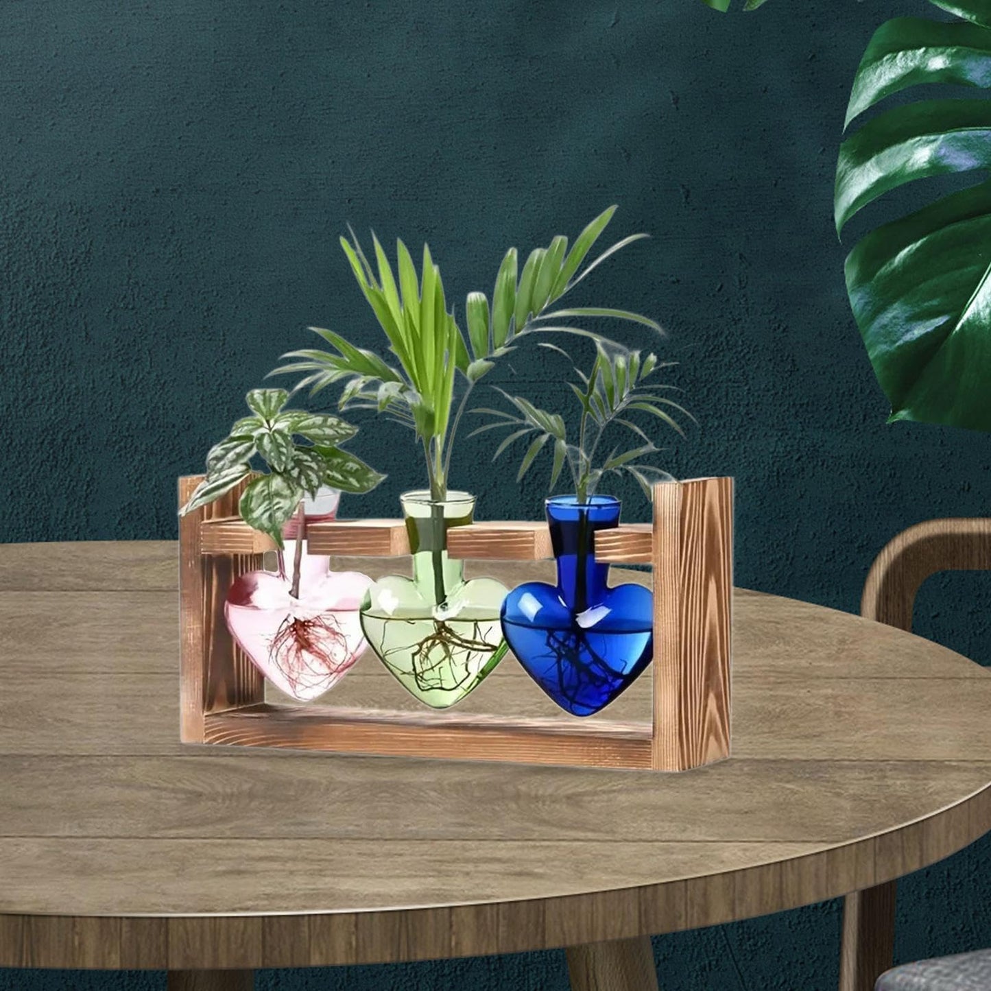 Duiaynke Hydroponic Flower Vase Glass Vase Table Centerpiece Plant Propagation Modern Propagating Jar Plant Terrarium for Dining Table (Color)