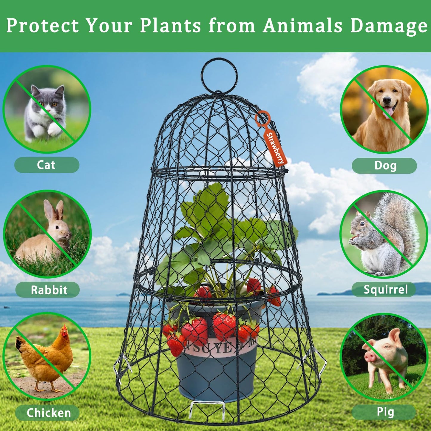6 PCS 17.7"H X11.42"D Chicken Wire Plant Covers Protectors, Rustproof Heavy Duty Metal Plant Cage with Stakes & Labels, Modular Garden Cloches Design for Seedling Flower Vegetable Protect from Animals