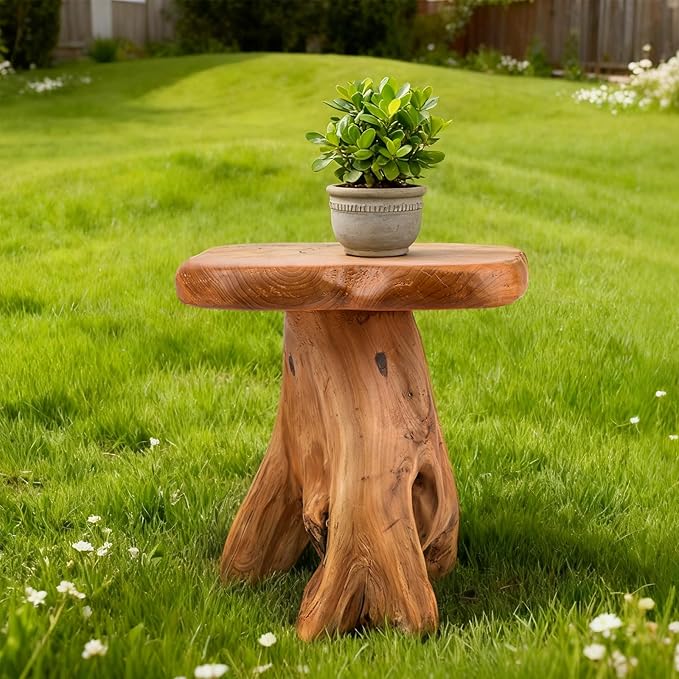 Small Side Table, Freeform Live Edge Wood Stool, Unique Design Natural Plant