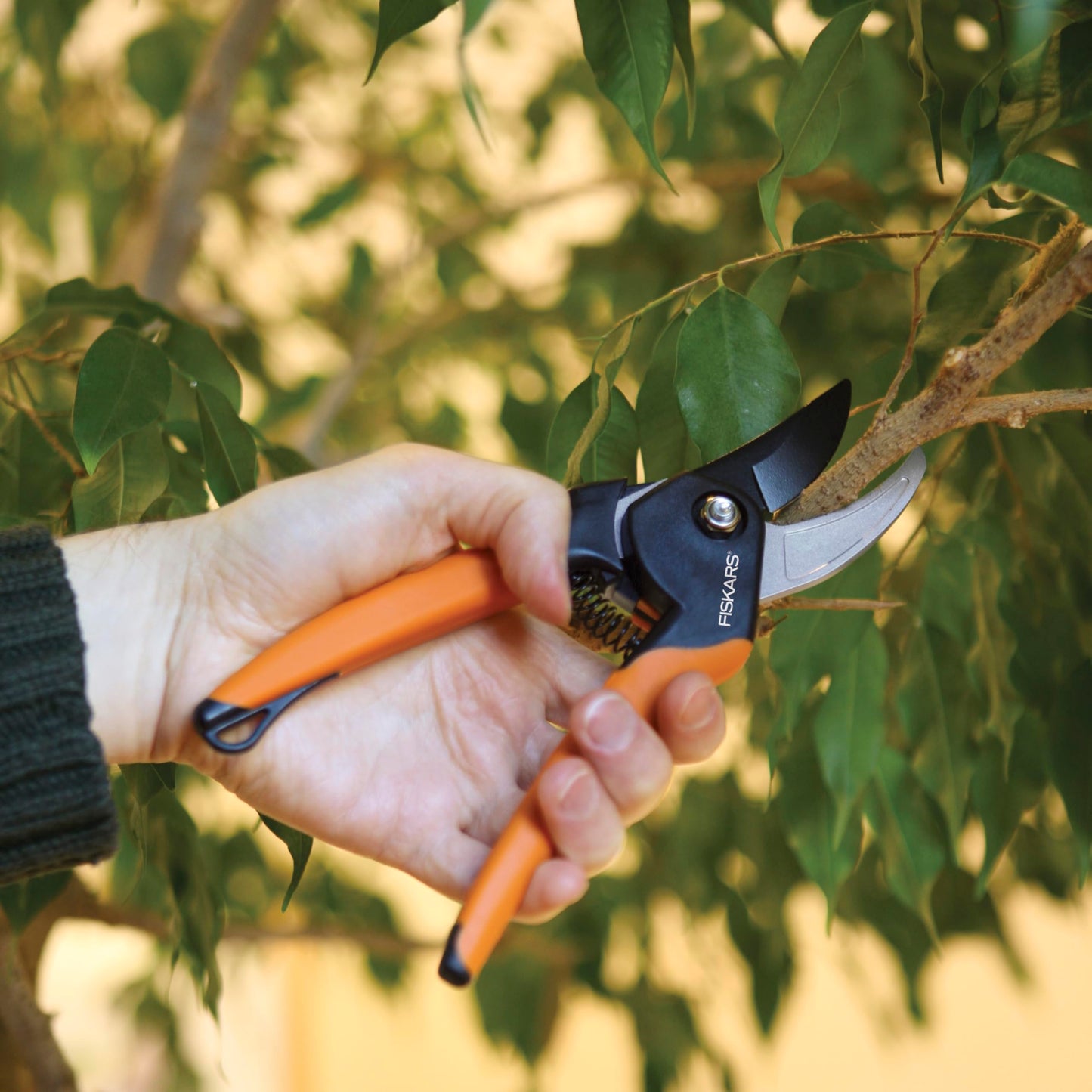 Fiskars SoftGrip Bypass Pruning Shears, 5/8” Cut Capacity Gardening Scissors for Right and Left-Handed Use, Steel Blade with Low Friction Coating, Rust Resistant Garden Clippers for Stems & Branches