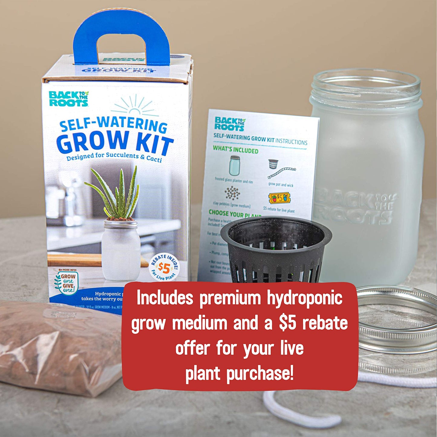 Back to The Roots Self Watering Grow Kit - Glass Hydroponic Planters for Succulents and Cacti Self-Watering System