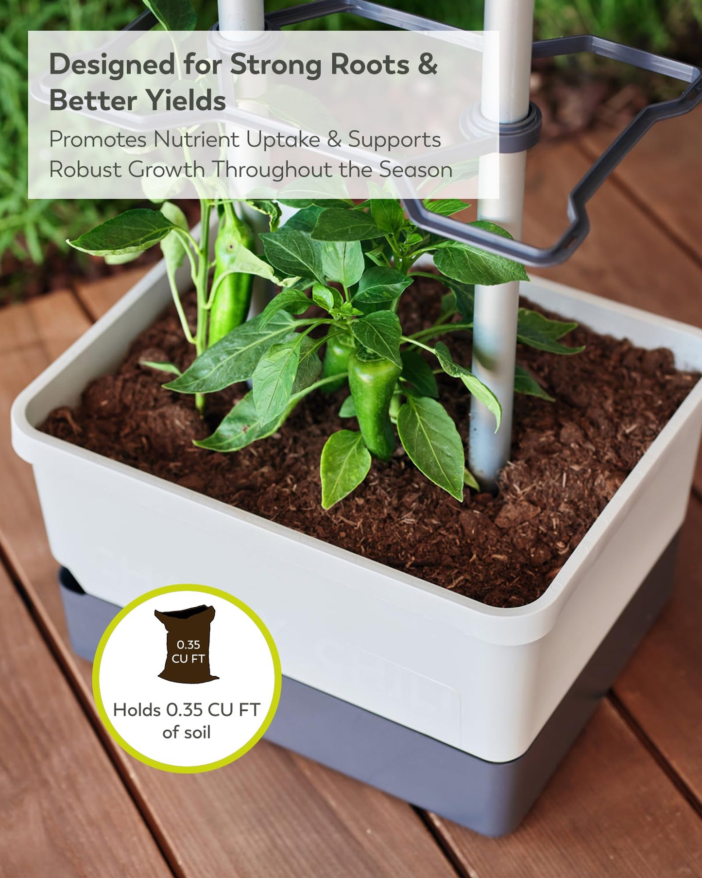 BUZZY Seeds Charly Chili Self-Watering Planter with Vertical Trellis – 1.2 Gal Reservoir, Large Capacity Planter for Chili Peppers, Bell Peppers & Eggplants (Grey)