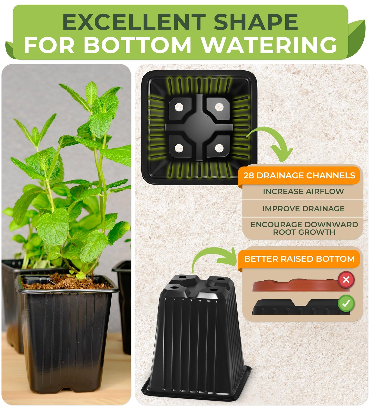 CARPATHEN 60Pack Square Nursery Pots - 3.5 Inch Seedling Plant Pot with Drainage Holes - 1020 Tray Optimized - Reusable Sturdy Seed Starter Pots for Flowers, Vegetables, Greens