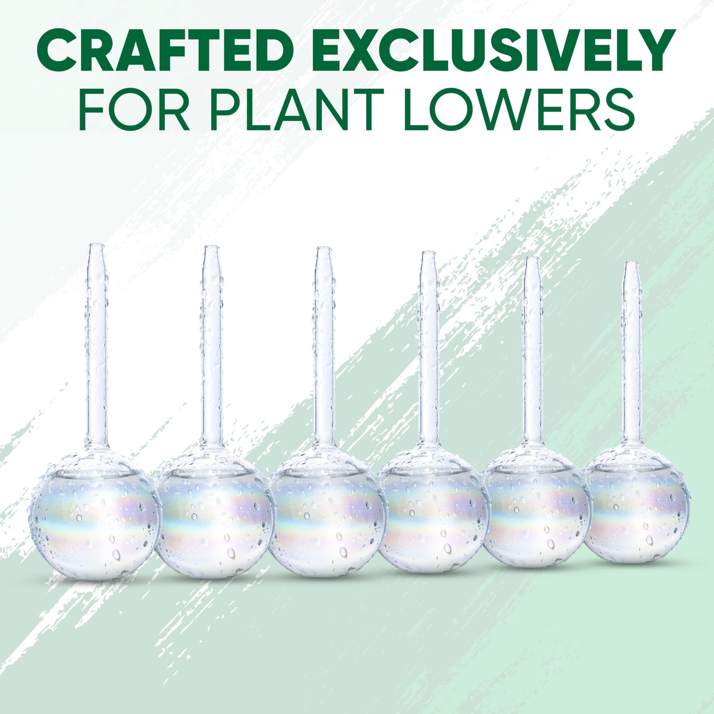 Mission Gallery Clear Plant Watering Globes Set of 6 - Small Self Watering Globes for Indoor & Outdoor Plants - Automatic, Glass Watering Bulbs for Daily Use, Plant Watering Devices