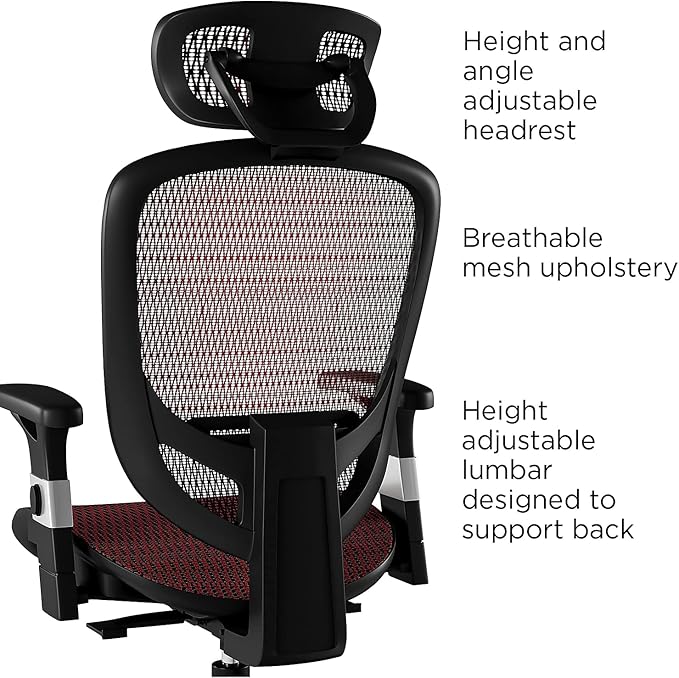 Union & Scale Ergonomic Task Chair