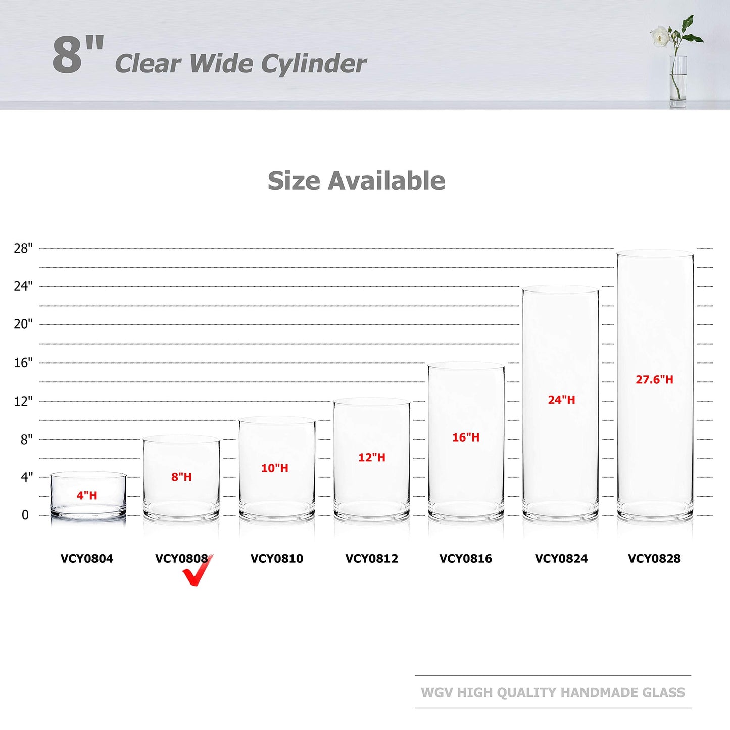WGV Cylinder Vase, Width 8", Height 8", Clear Wide Large Diameter Flower Glassware, Floral Container, Planter Terrarium for Wedding Party Event, Home Accent Decor, 1 Piece