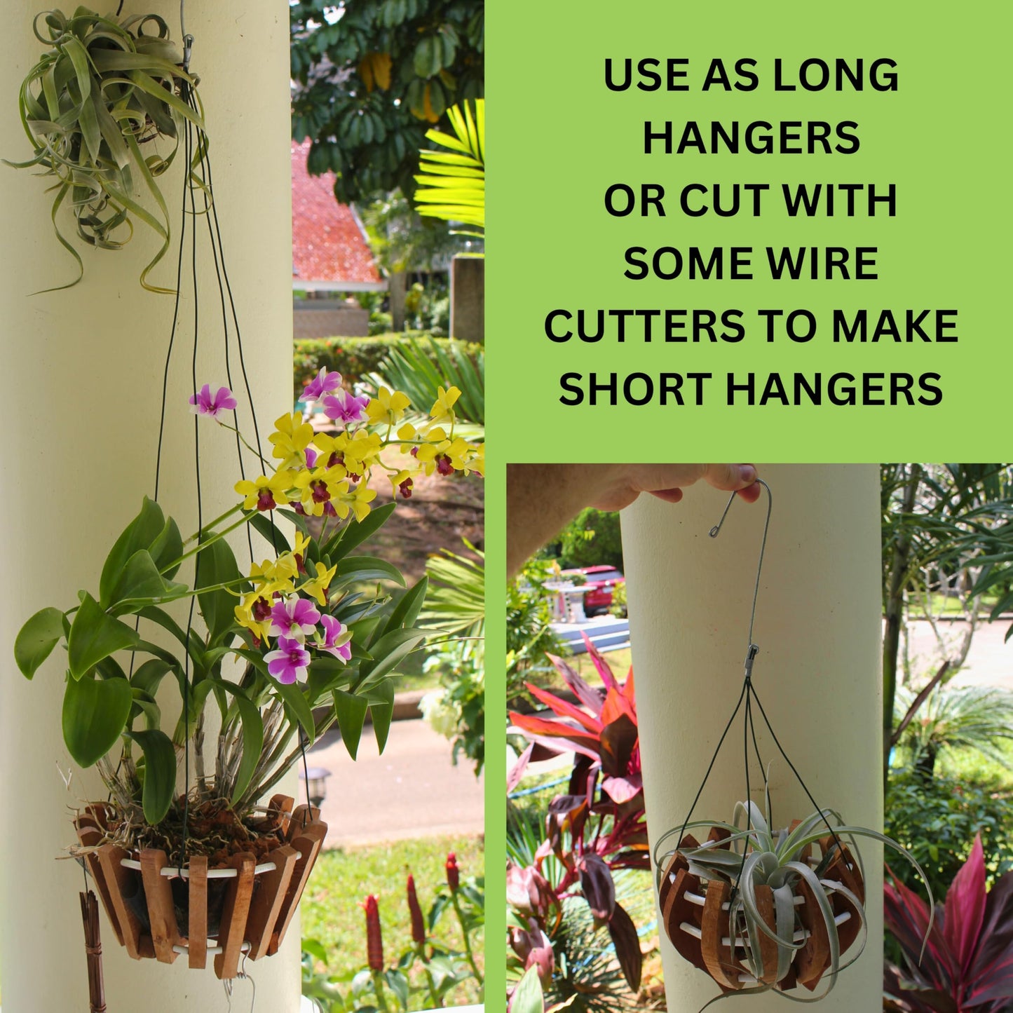 DESQUIGGLE Set of 12 Hanging Wires for Orchid Baskets and Hanging Planters, 31 Inches Long with Strong Steel Hooks and Covered in Light Green Plastic