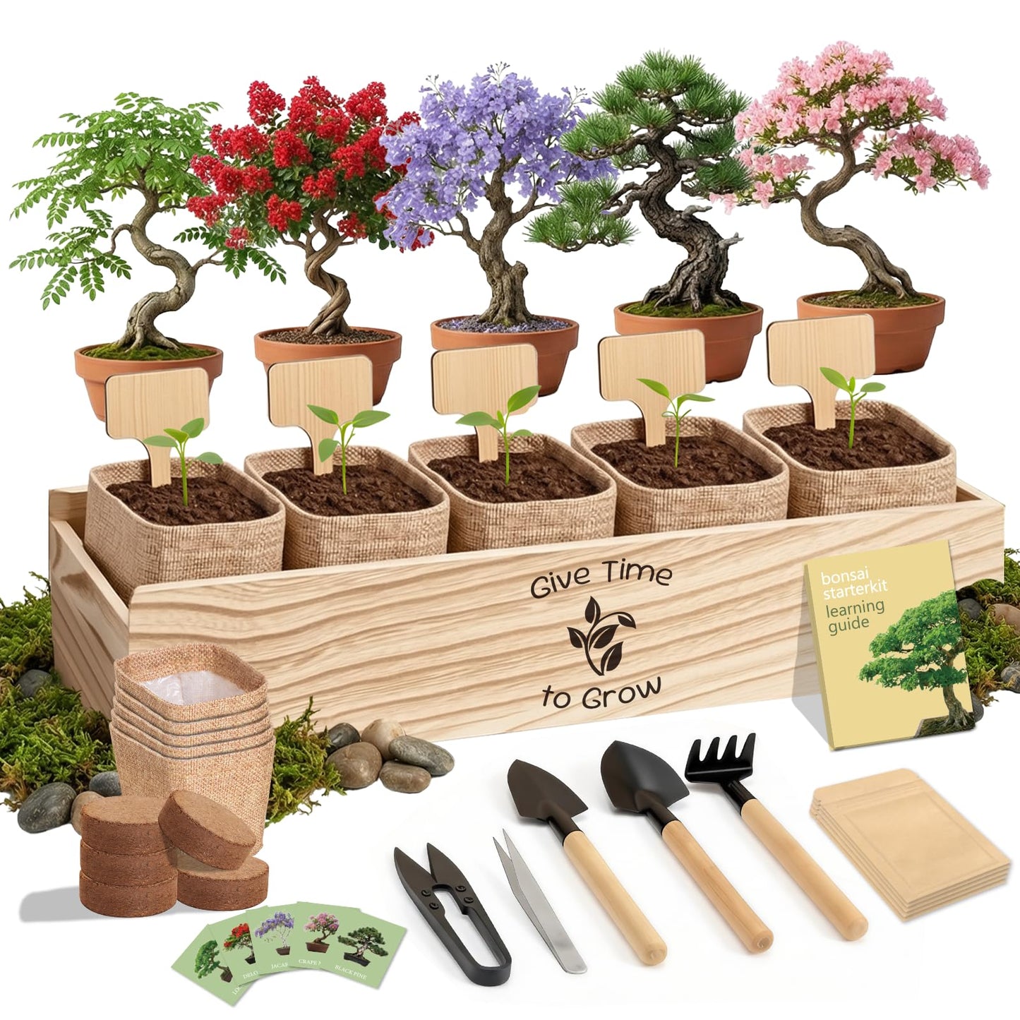 JELHFIP Bonsai Tree Starter Kit for Beginners 5 Unique Indoor Bonsai Trees with Gardening Tools DIY Bonsai Growing Kit Perfect Gifts for Women Men Plant Lovers for Birthday Father’s Day Housewarming