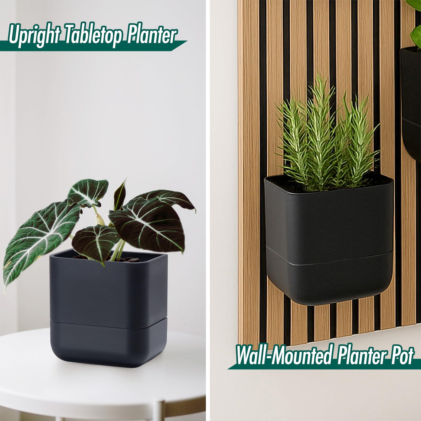 Phoenix Vine 6.5 Inch Wall Mounted Self-Watering Planter Pot for Indoor Houseplants and Herbs | Hanging Planter for Window Sills, Bathroom Walls, Home & Office Décor, Black, Set of 2, 01-C-E-2
