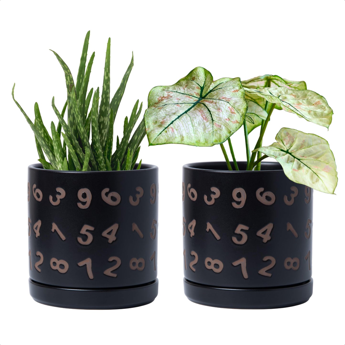 D'vine Dev Set of 2 Ceramic Planter Pots with Drainage Hole and Saucer, 6 Inch Plant Pots for Plants Indoor Houseplants, Black, 99-Z-B-2-Y