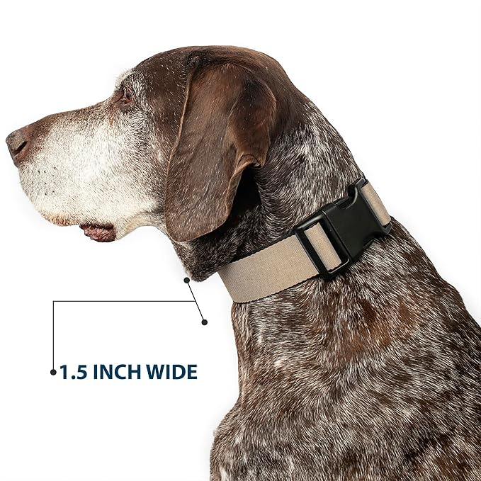 Dog Collar Plastic Clip Natural Hemp 18 to 32 Inches 1.5 Inch Wide