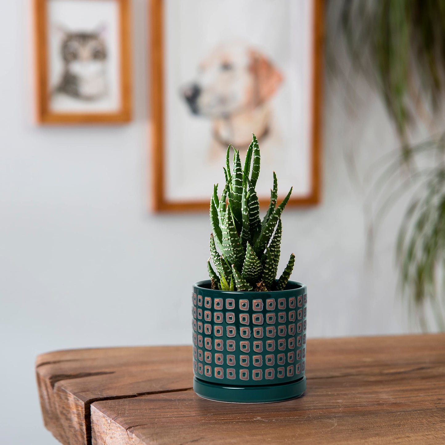 D'vine Dev Set of 2 Ceramic Planter Pots with Drainage Hole and Saucer, 4.5 Inch 6 Inch Plant Pots for Plants Indoor Houseplants, Green, 99-A-4