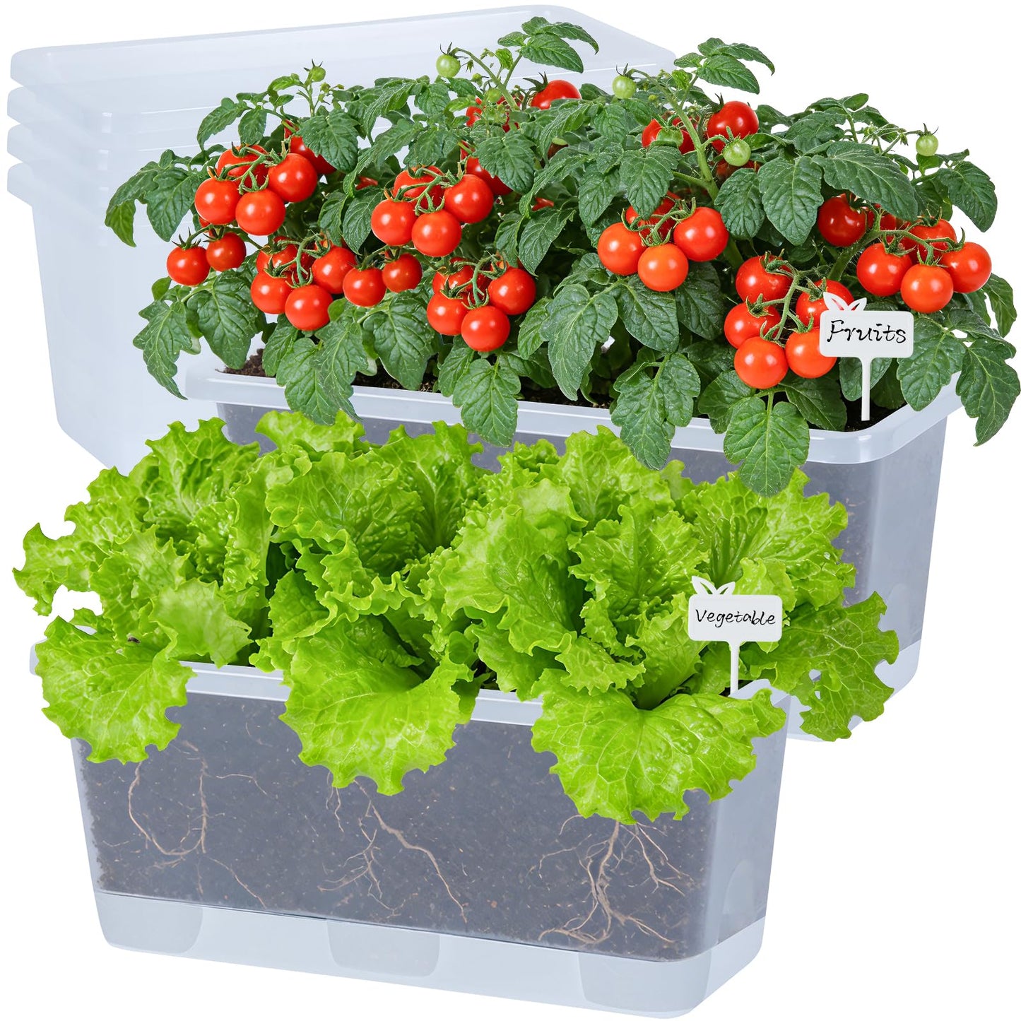 Oliz Window Box Planter 6 Packs, 13.8 Inches Rectangle Flower Pots with Drainage Holes & Trays, Pots for Vegetables, Herbs, Flowers, Garden Windowsill Balcony (Translucent White)