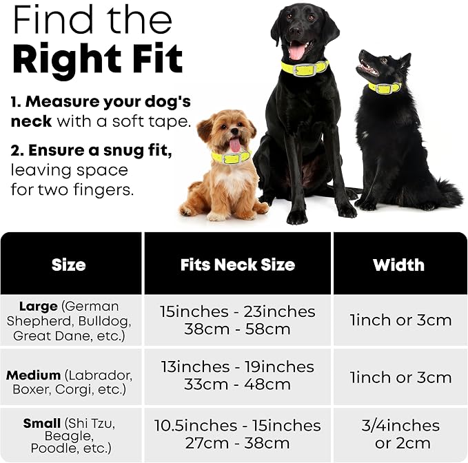 Regal Dog Products Large Yellow Waterproof Dog Collar and Leash Set | Heavy Duty Double Buckle & D Ring - 5'ft Leash | Adjustable Biothane Dog Collar | Chew Resistant Waterproof Collar for Dogs