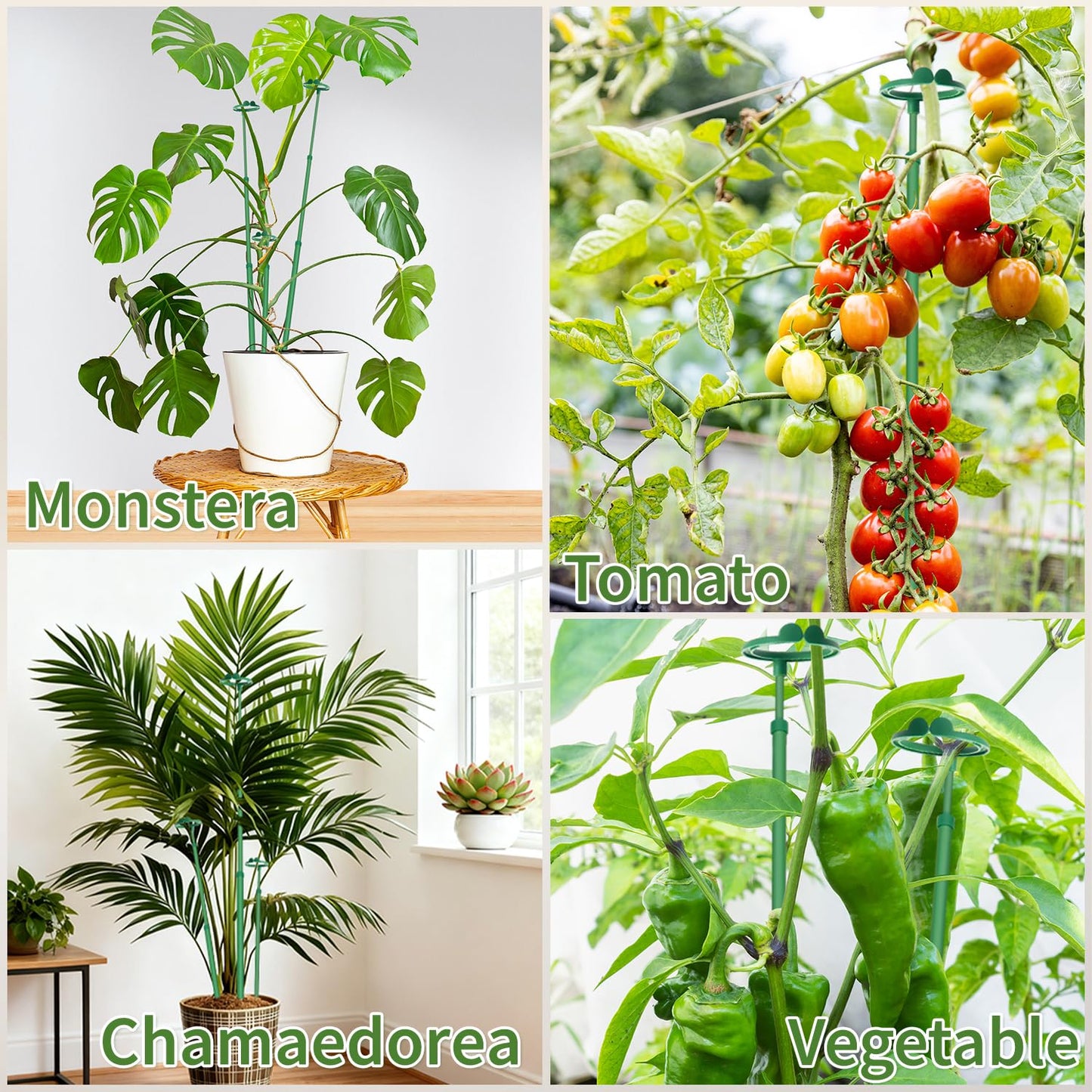 Extendable Plant Stakes,Adjustable Length from 17.9IN to 42.3IN Monstera Support Stakes with Clips,Sturdy Plant Stakes for Indoor Outdoor,Garden Sticks for Tomato,Orchid,Climbing Plants- 5Pack