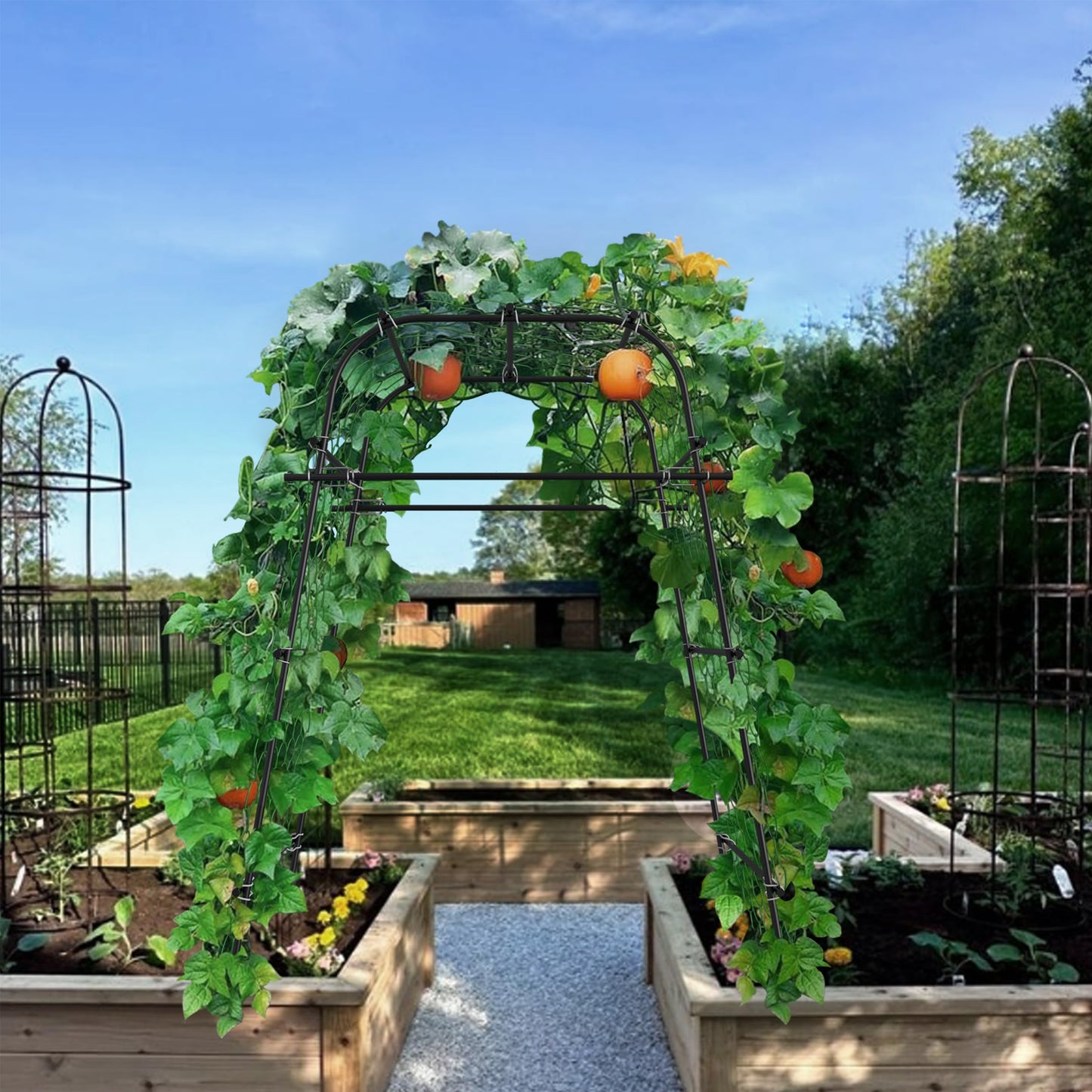AlisisFores Garden Arch Plant Trellis for Climbing Plants Outdoor, Cucumber Trellis for Raised Bed, Grape Metal,Arbor Trellis Plant Support Flower Vegetables,Tomato Black,6.7FT Rust-Proof