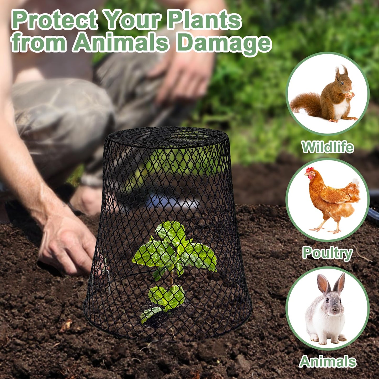 Dukelai 10 Pcs 9.13"×9.13" Chicken Wire Cloche Plant Covers Garden Netting Metal Heavy Duty Plant Protectors from Animals for Keeping Bunnies Chicken Squirrels Birds Other Out