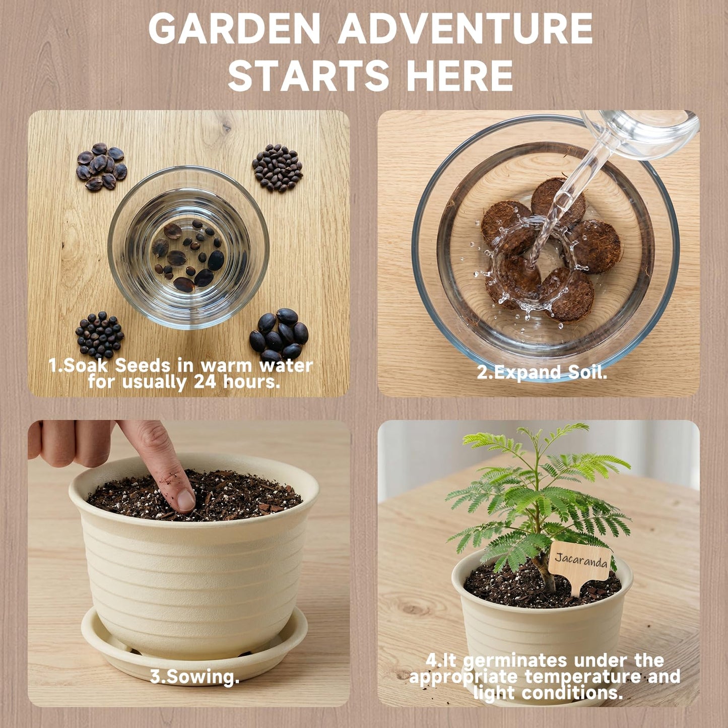 Bonsai Tree Starter Kit – 8 Varieties Indoor Bonsai Trees Plant Seeds with Drainage Design Pots, Gardening Gifts for Women, High-Value Plant Gifts