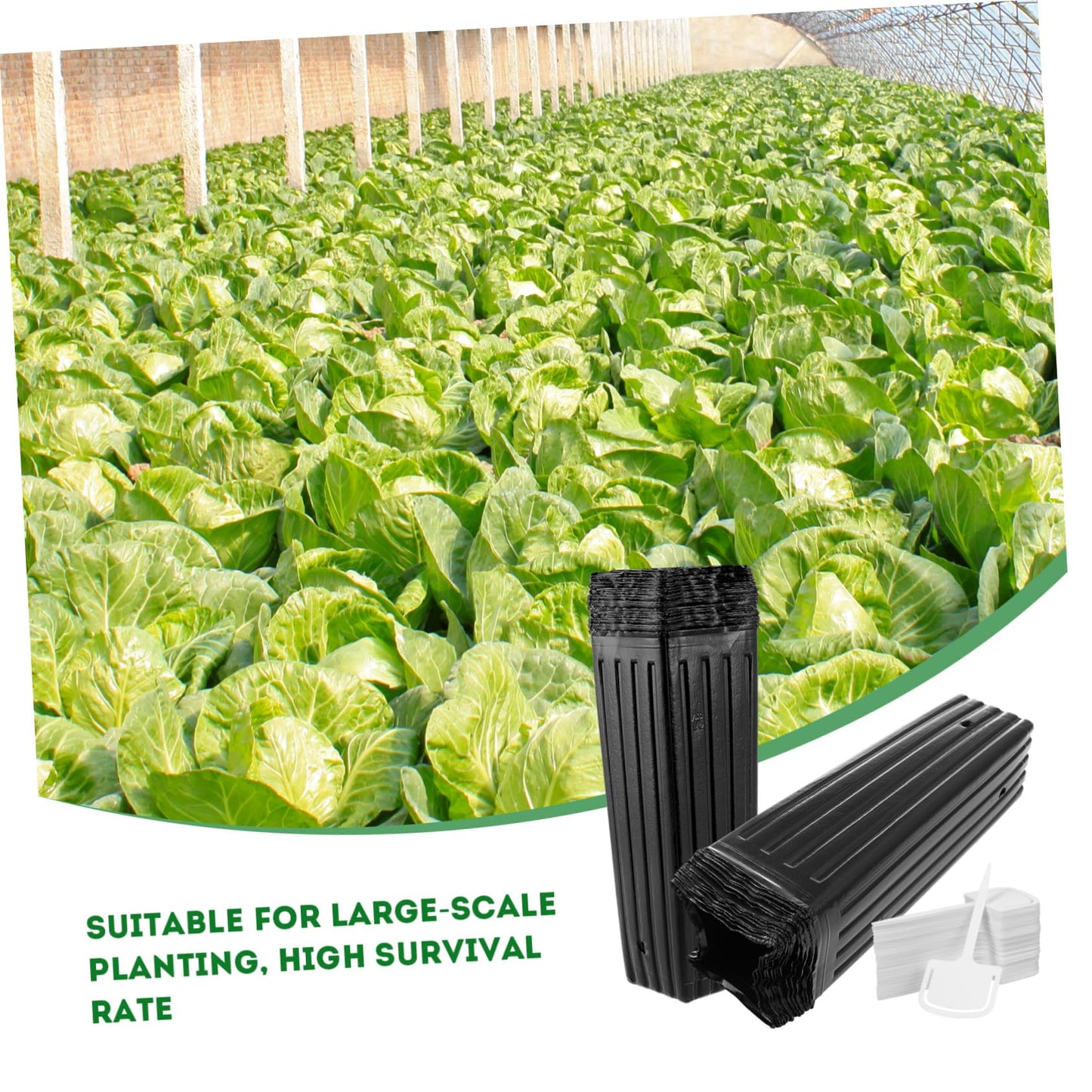 Yardwe 60 Pcs Tree Pots, 11.41" Tall Plastic Plant Nursery Containers with Plant Labels, Black Seedling Pots for Indoor Outdoor Gardening