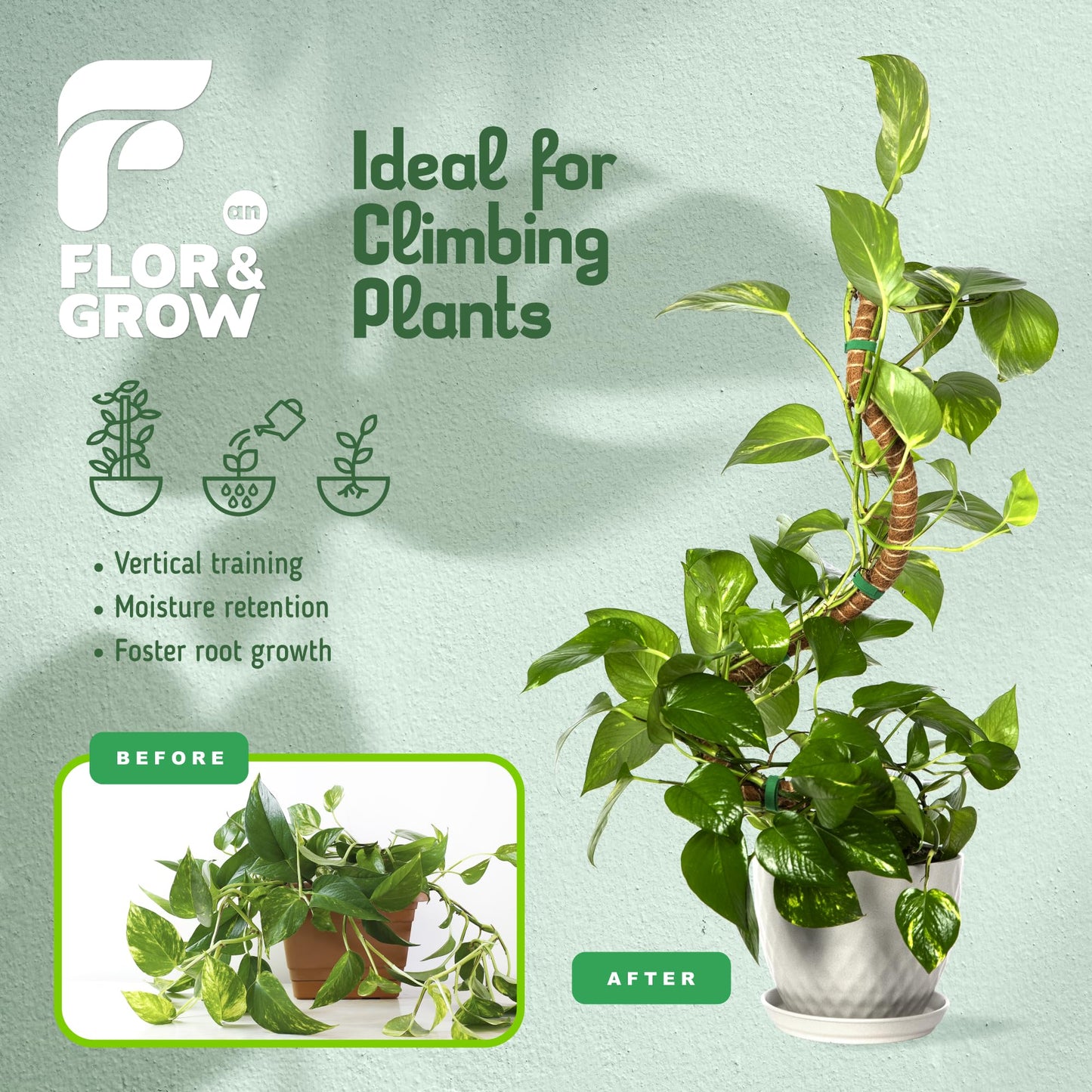 2 Pack 48" Sturdy Easy to Use Moss Pole Monstera Plant Support Stakes - Plant Stakes for Indoor Plants, Moss Poles for Climbing Plants, Tutores para Plantas Trepadoras Monstera Support Sticks