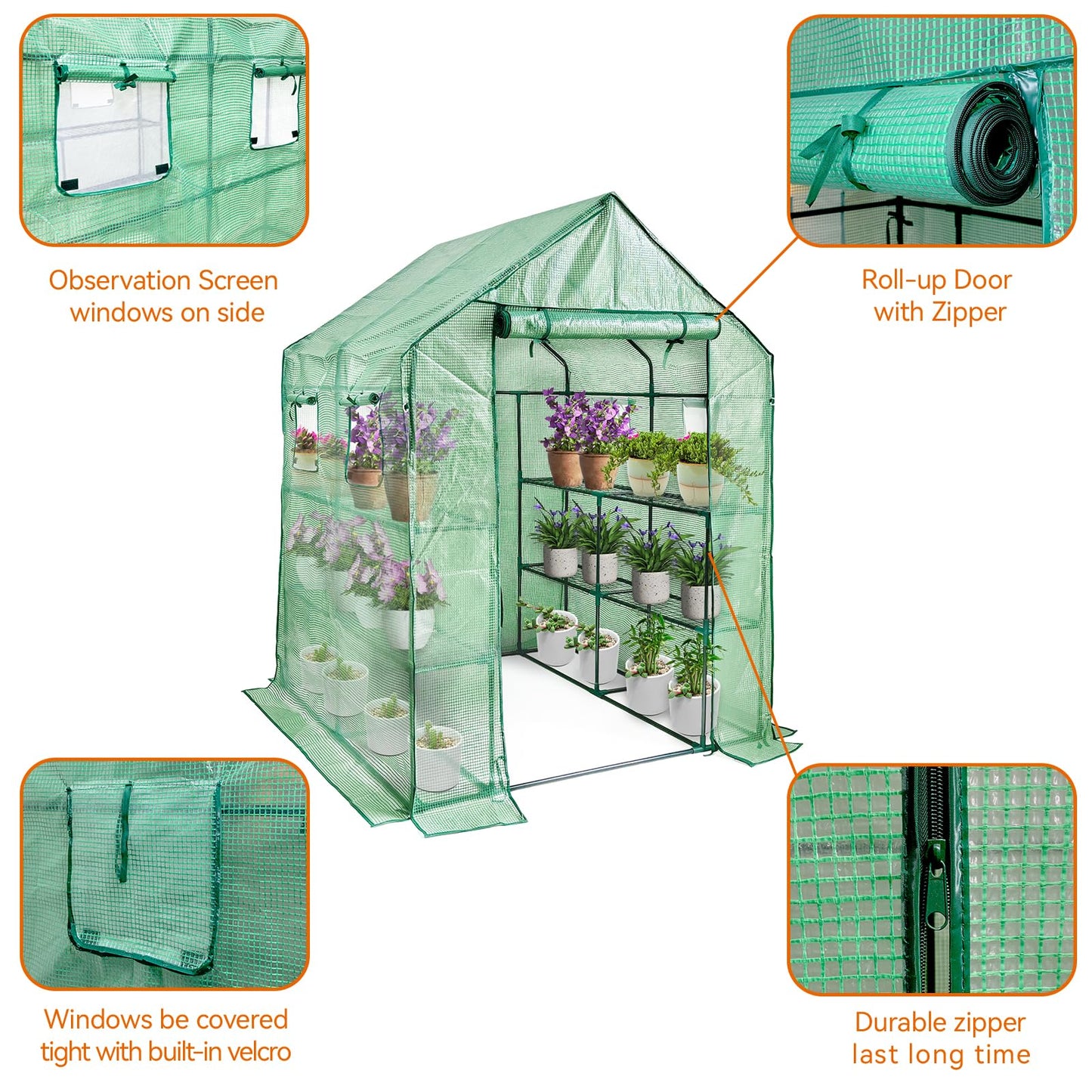 Walk in Greenhouse with Shelves,Plastic Growhouse Frame for Garden,12 Tiers Green House with Reinforced PE Cover and 4 Windows,56" L x 56" W x 77" H,for Indoor Outdoor Seeding and Plant Growing