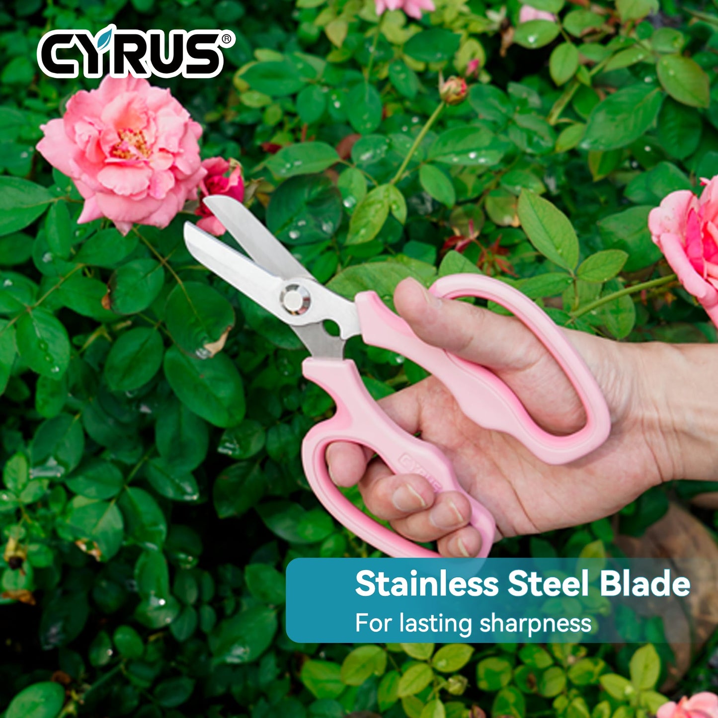 CYRUS Garden Shears Pruner Secateurs 7.5" Pruning Scissors with Integrated Stab Remover Flower Sharp Gardening hand tools Florist Bonsai Cutters Rose Snips Pink