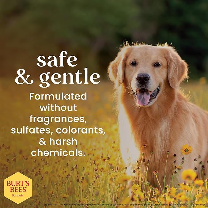 BURT'S BEES FOR PETS Itch Soothing Shampoo with Honeysuckle, 95% Natural Origin Formulas, Dog Shampoo for Itchy Dogs, Dog Shampoo Itchy Skin Relief, 32 oz
