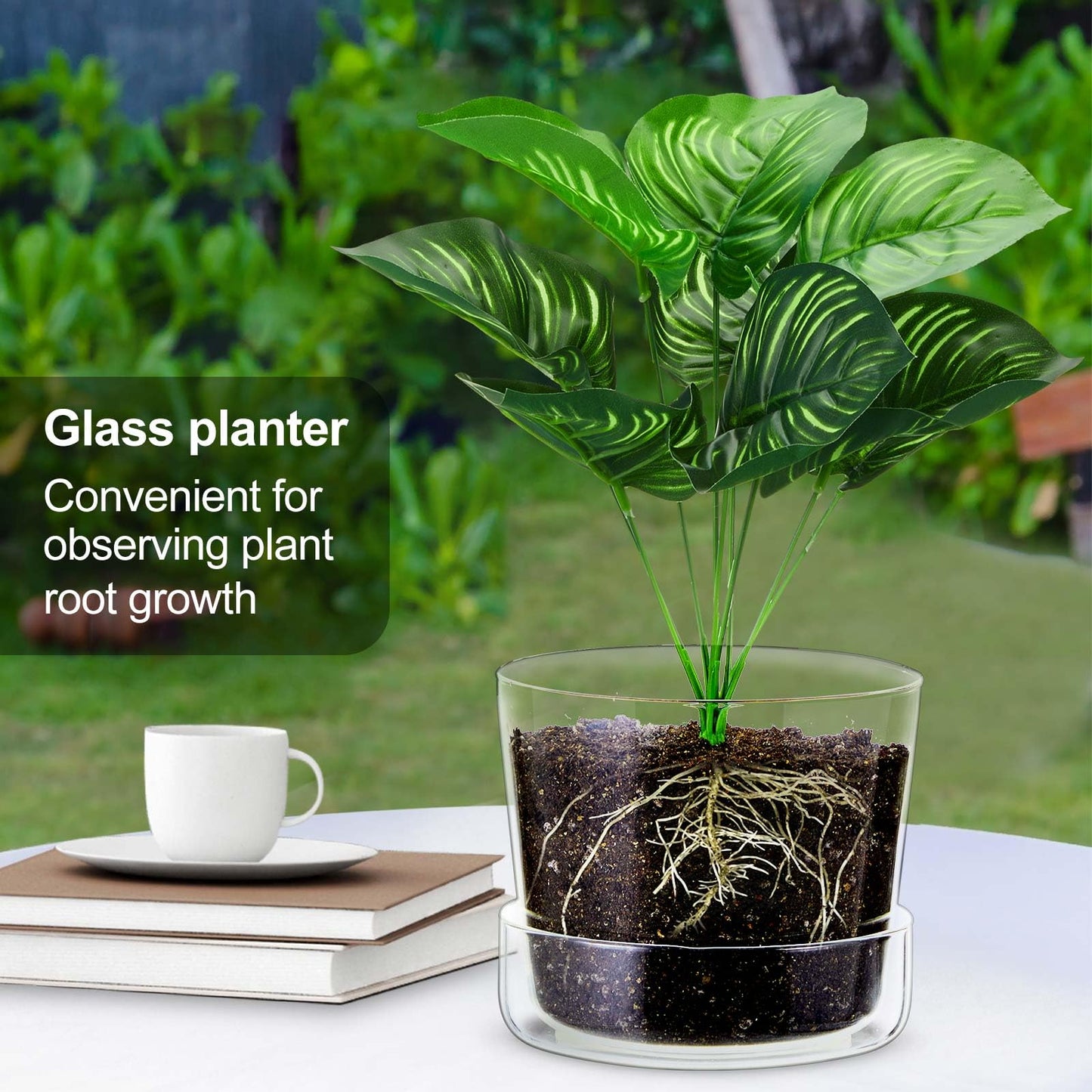 Singhoow 2 Sets 6 Inch Glass Planter with Drainage Hole and Tray Indoor Clear Plant Pots with Saucer Modern Decorative Orchid Glass Pot for Outdoor Flower Plants