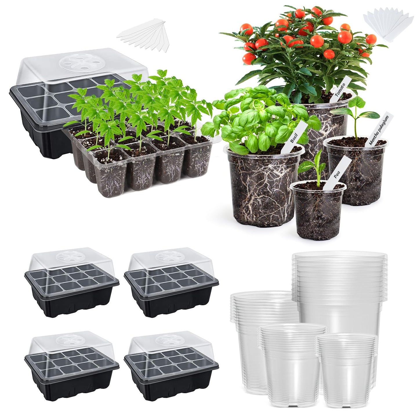 The Bundle of Bonviee 5 Packs Seed Starter Tray and Bonviee 36 Packs Variety Sizes Clear Nursery Pots with Drainage Holes
