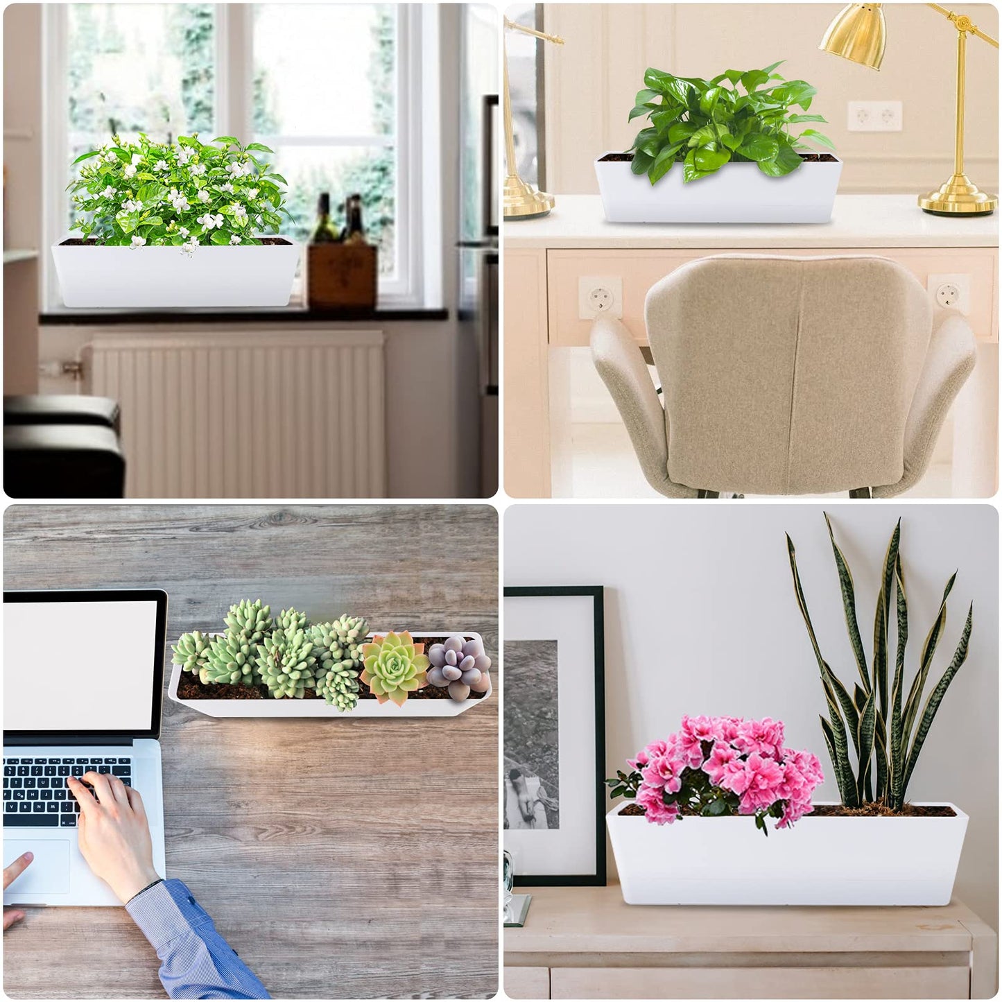 GREANER Window Boxes Planters with 100PCS 4inch Colorful Plant Label, 3PCS 16x3.8 Inch Large Herb Planters with Tray, Indoor Succulent Cactus Flowers Vegetable Plastic Rectangle Pots for Balcony, Offi