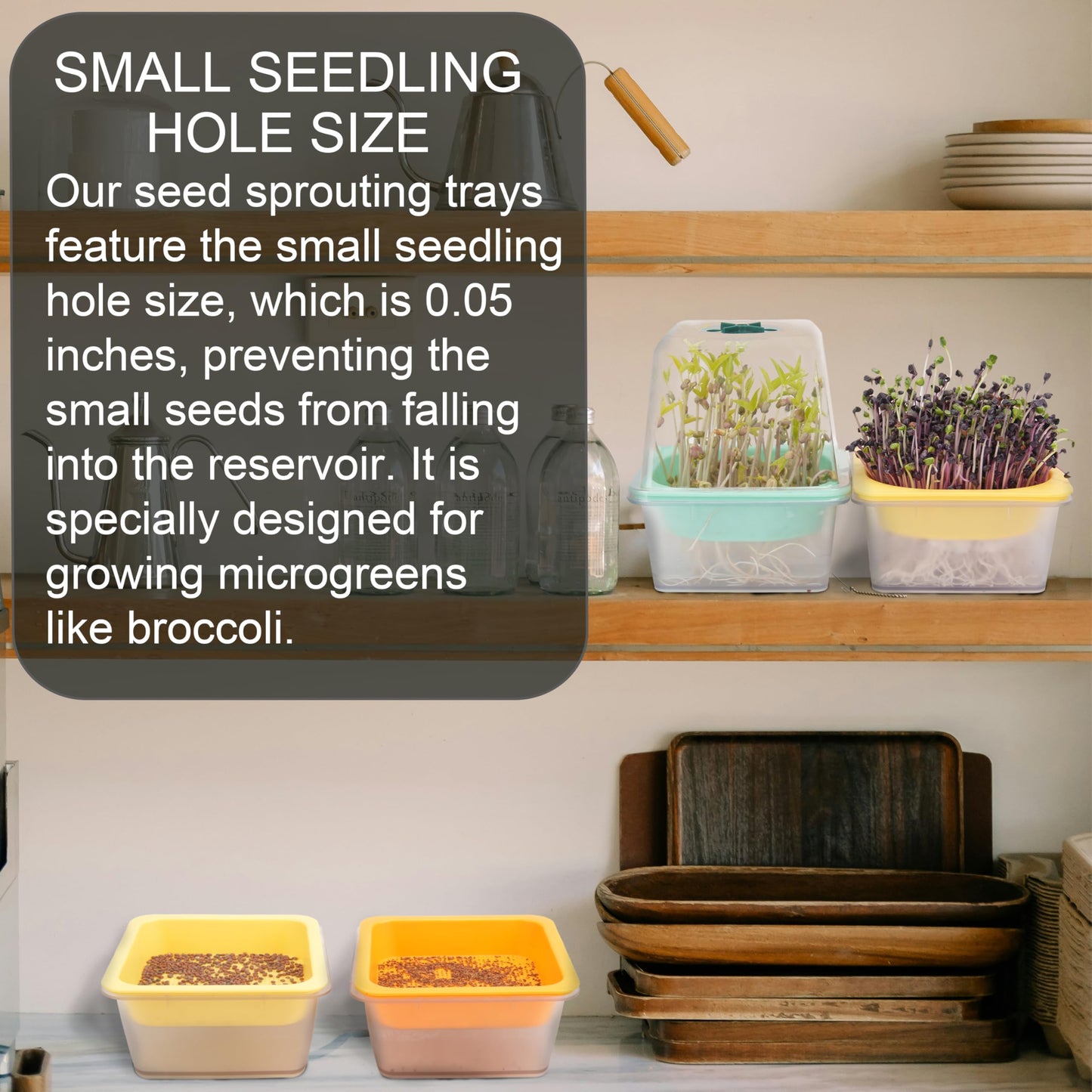 Microgreen Growing Trays, 5" x 5" Sprouting Tray with Humidity Dome, 1.2 mm Small Mesh Holes, BPA Free, Sprouter Kit for Growing Mirco Seeds, Like Broccoli, Alfalfa, Radish, Clover - 4 Pack | Clear