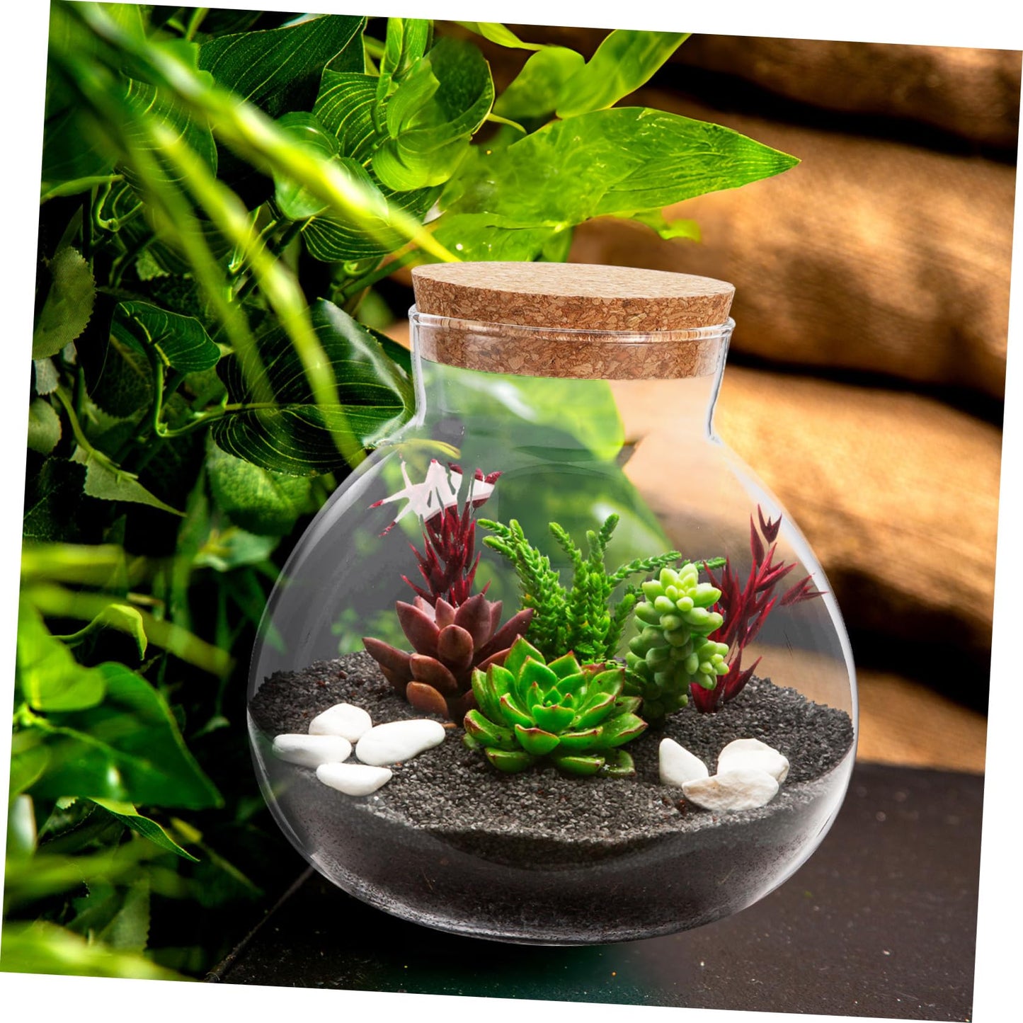 BESPORTBLE Glass Moss Bottle Empty Glass Jar Moss Crafts Home Decor Plant Terrarium