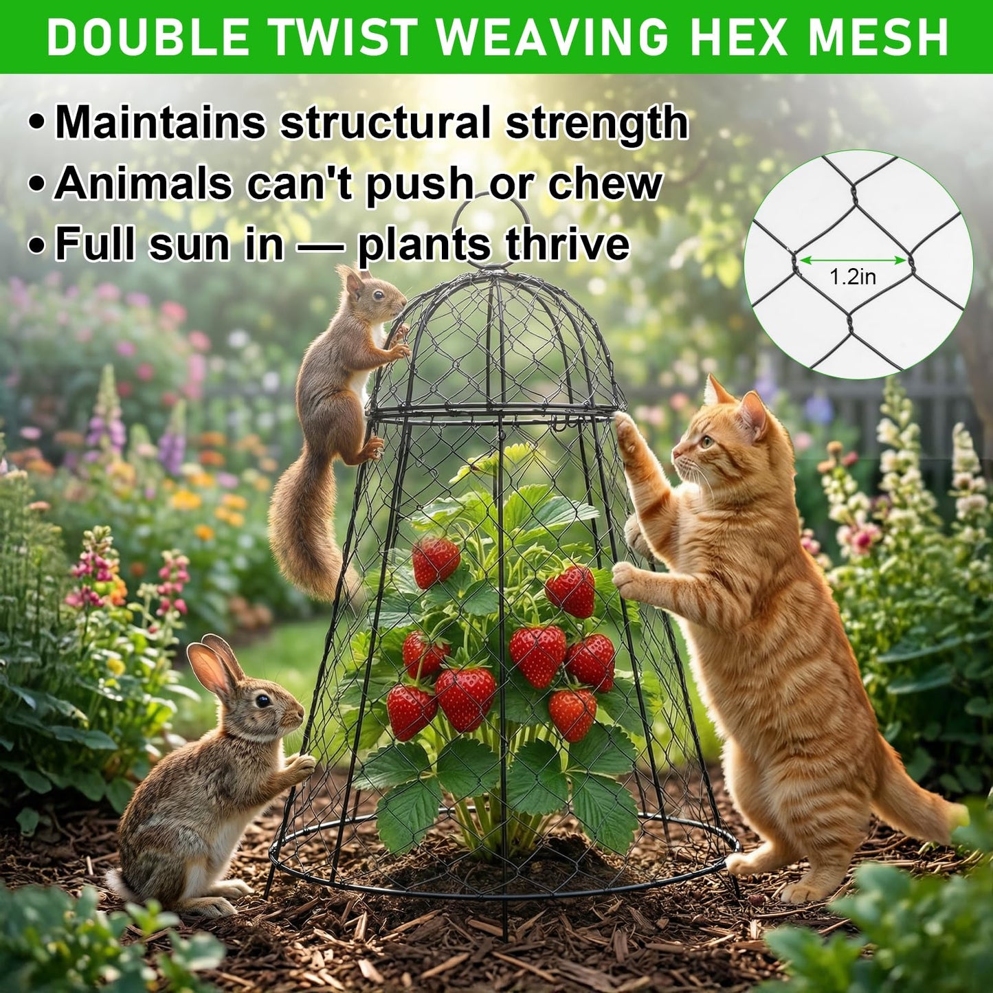 Garden Cloches for Plants 6 Pack - Chicken Wire Outdoor Plant Protectors from Animals - Heavy-Duty Metal Cage with Detachable Lid - Rustproof Covers - 12"D × 17"H - Blocks Rabbits, Squirrels & Birds