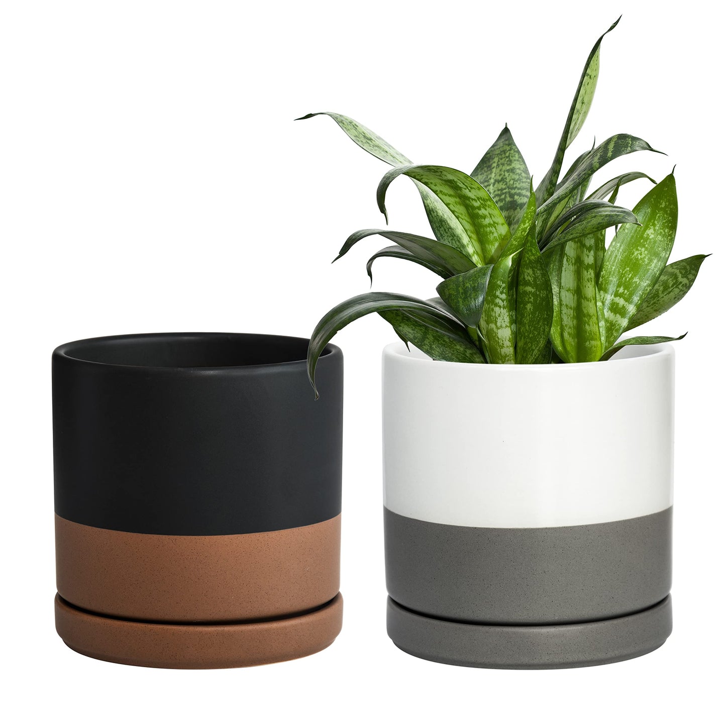 D'vine Dev Set of 2 Plants Pots, 6 Inch Ceramic Planter Pot for Plants with Drainage Hole and Saucer, White-Grey/Black-Tan, 94-V-C-C