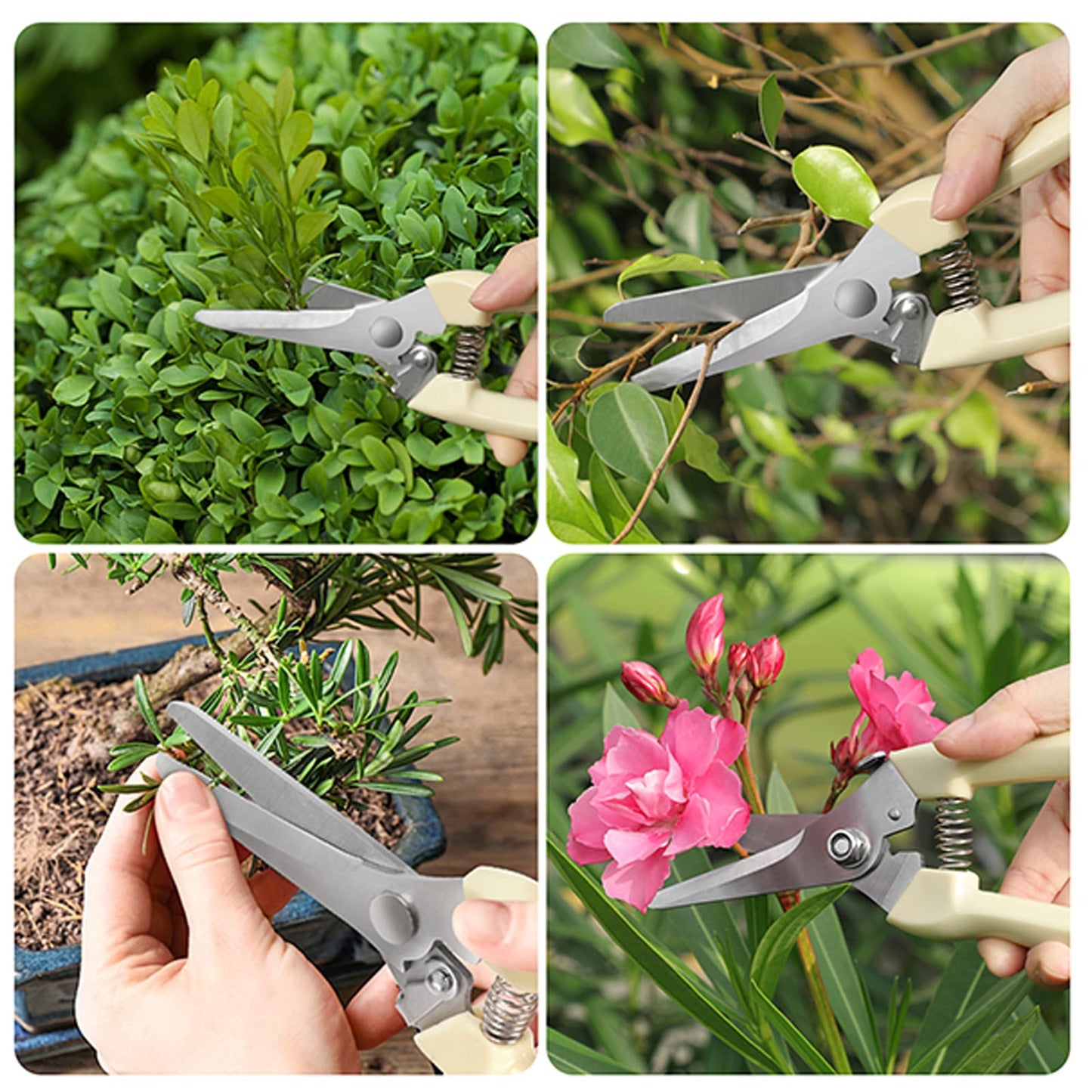 6PCS Premium garden shears, pruning scissors gardening tools, pruners for flower, bushes, rose and fruit tree, use for florist, yard and orchard the plant clippers, sharp steel anvil snips (white, 6)
