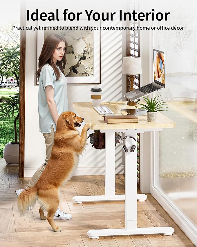 BIZUM Standing Desk Electric Adjustable Computer Desk-Stand up Desk Office