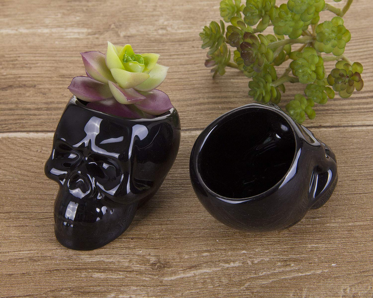 VanEnjoy Set of 3 Black Ceramic Skull Shaped Succulent Planter Pots Creative Cactus Plant Pot Pen Pencil Holder, Home Office Desk Decoration