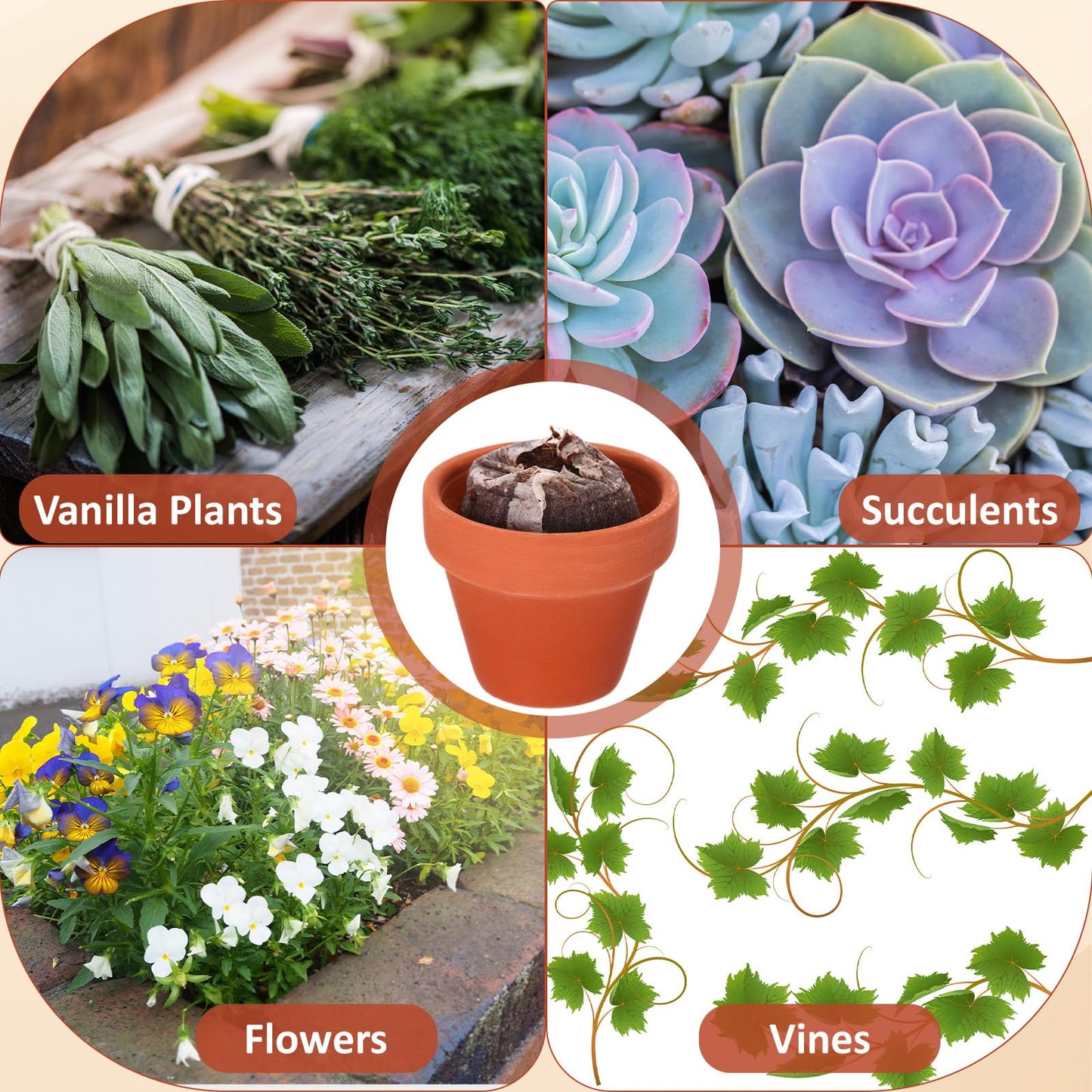 Hushee 72 Pack Small Terracotta Grow Pots with Seedling Blocks Starter Kit for Planting Enthusiasts Indoor Outdoor Plants DIY Garden Plants Gardening Gifts (1.57 x 1.89 Inch)