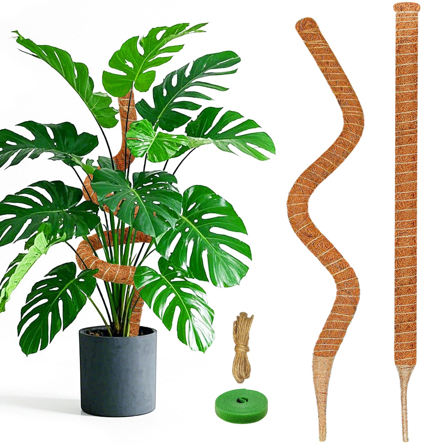Dimpoo 2 Pack 48 Inch Moss Pole Monstera Plant Support, Coir Moss Poles for Climbing Indoor Plants, Bendable Plant Stake Trellis for Potted Plant, Pothos, Philodendron