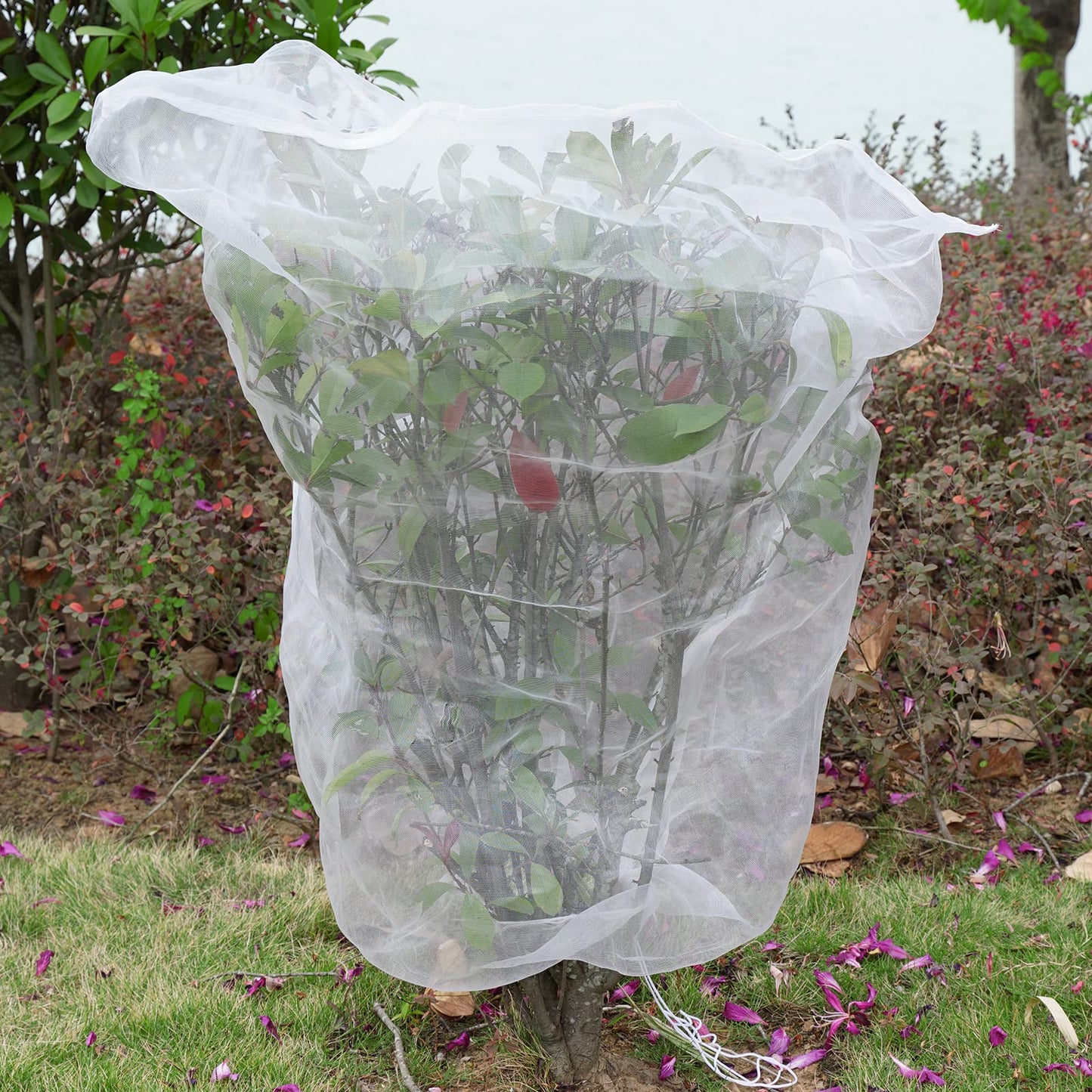 Mesh Plant Cover 3PCS,Garden Netting Mesh Outdoor,Netting for Tomato Plants,Garden Bug Netting Plant Cover,Bird Netting for Garden,Fruit Tree Netting (2.6 x3.2 ft)