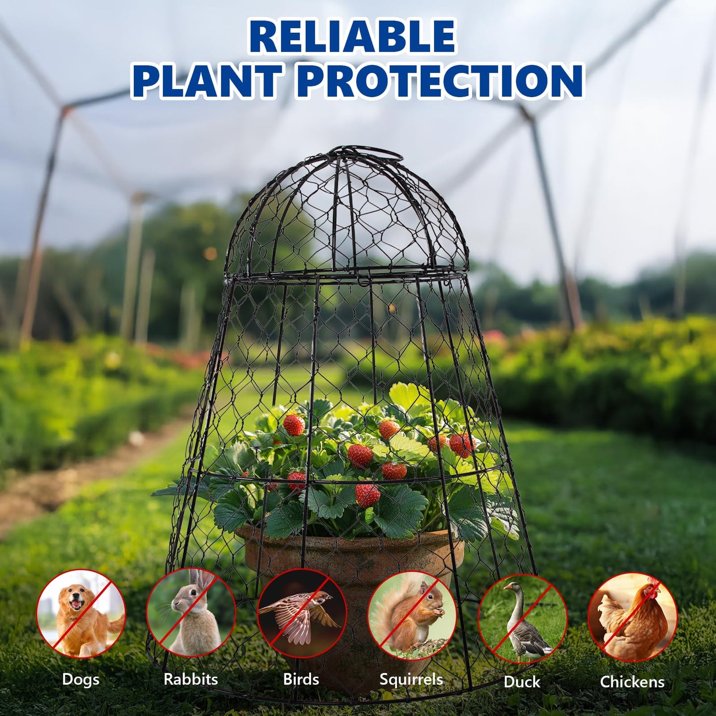 Tcomhk Garden Cloches for Plants - Set of 6 Chicken Wire Plant Cages and Plant Protectors from Animals, 17.7" H x 12.8" D, Outdoor Vegetable and Flower Cages, Sapbontchi Chicken Wire Cloche
