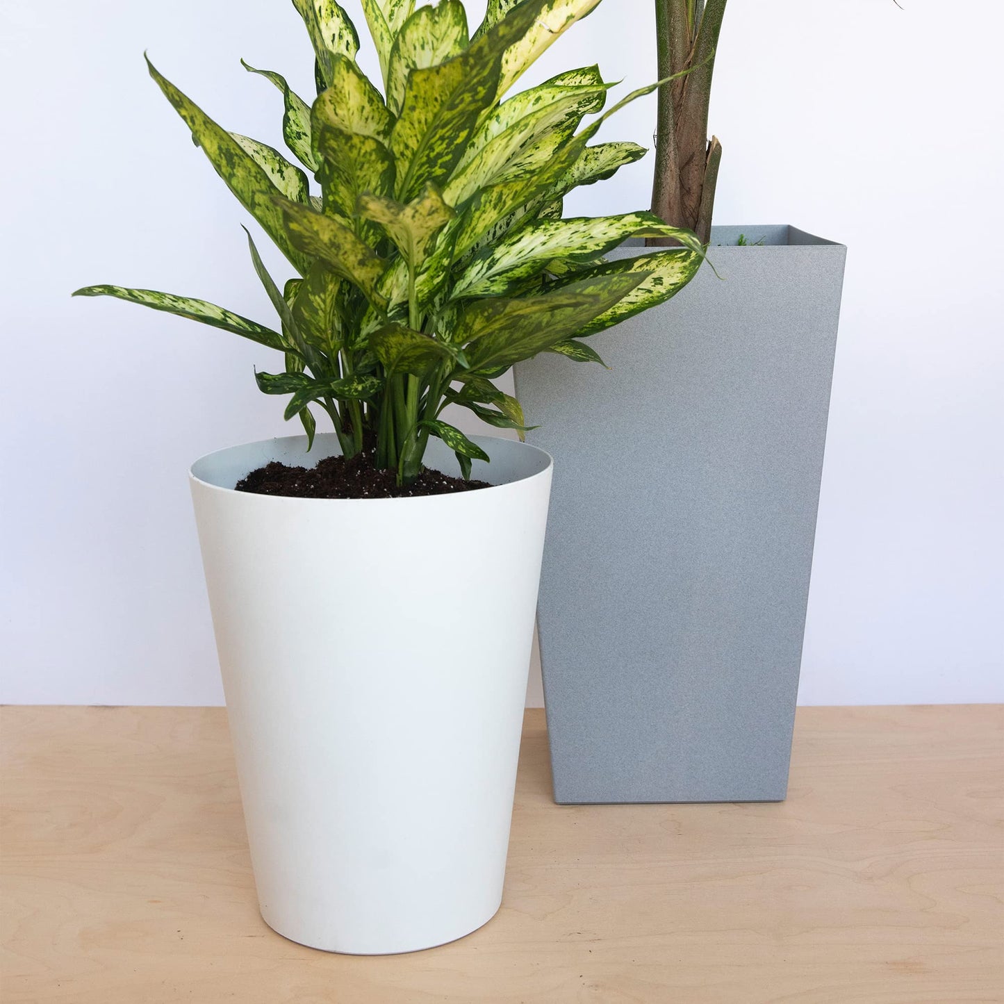 Bloem Tall Finley Tapered Square Planter: 20" - Cement Gray - Matte Textured Finish, 100% Recycled Plastic Pot, for Indoor and Outdoor Use, Gardening, 5 Gallon Capacity