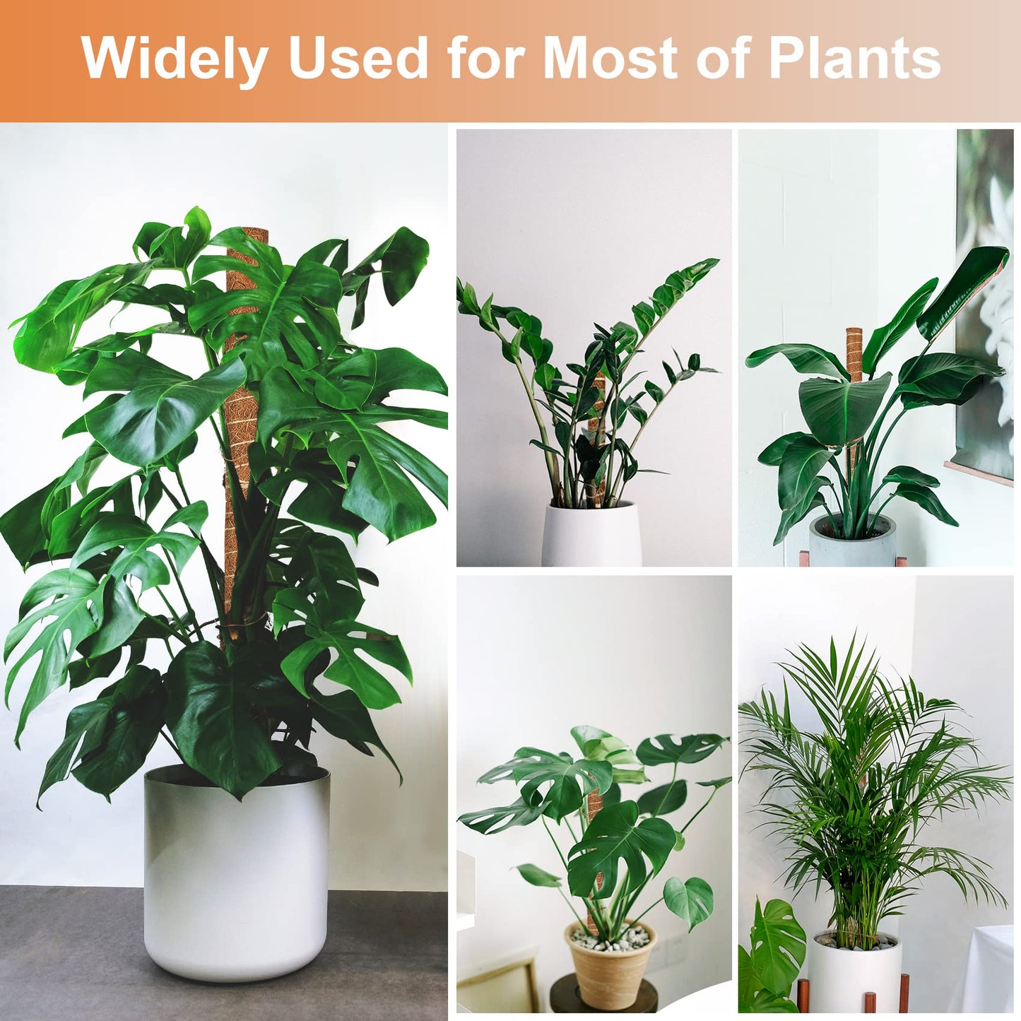 【4 Pack】 JJGoo Moss Pole, 17 inch Coco Coir Totem Poles Extending to 53 Inches, Plant Support Stick Plant Poles for Indoor Plants Climbing Plants Monstera, Sphagnum, Pothos