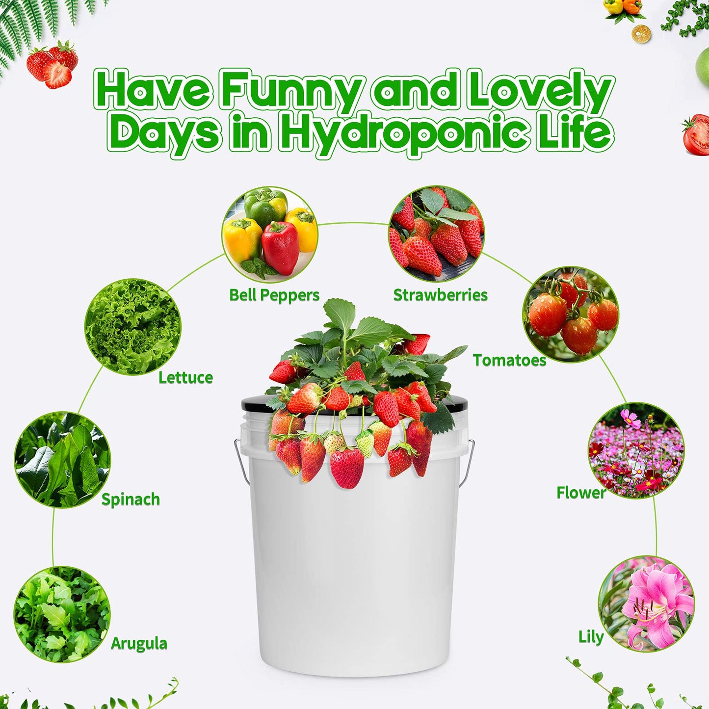 Tectsia Net Pots 6 Inch for 5 Gallon Bucket (6 Pack), Hydroponic BPA-Free DWC Basket Lids