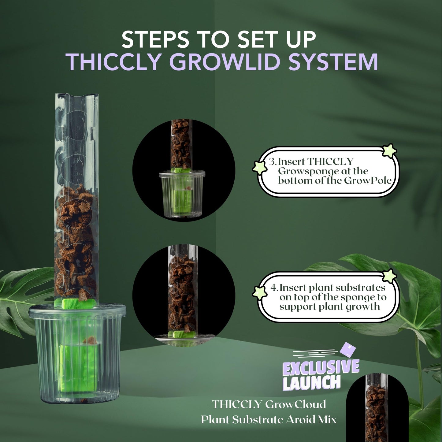 THICCLY Medium GrowLid 5 Pcs (Royal Blue) - Self Watering Clear D-Shaped Plastic Moss Pole Hydroponics Growing System Kratky Hydroponic Kit Moss Pole Monstera Plant Support Philodendron and Anthuriums