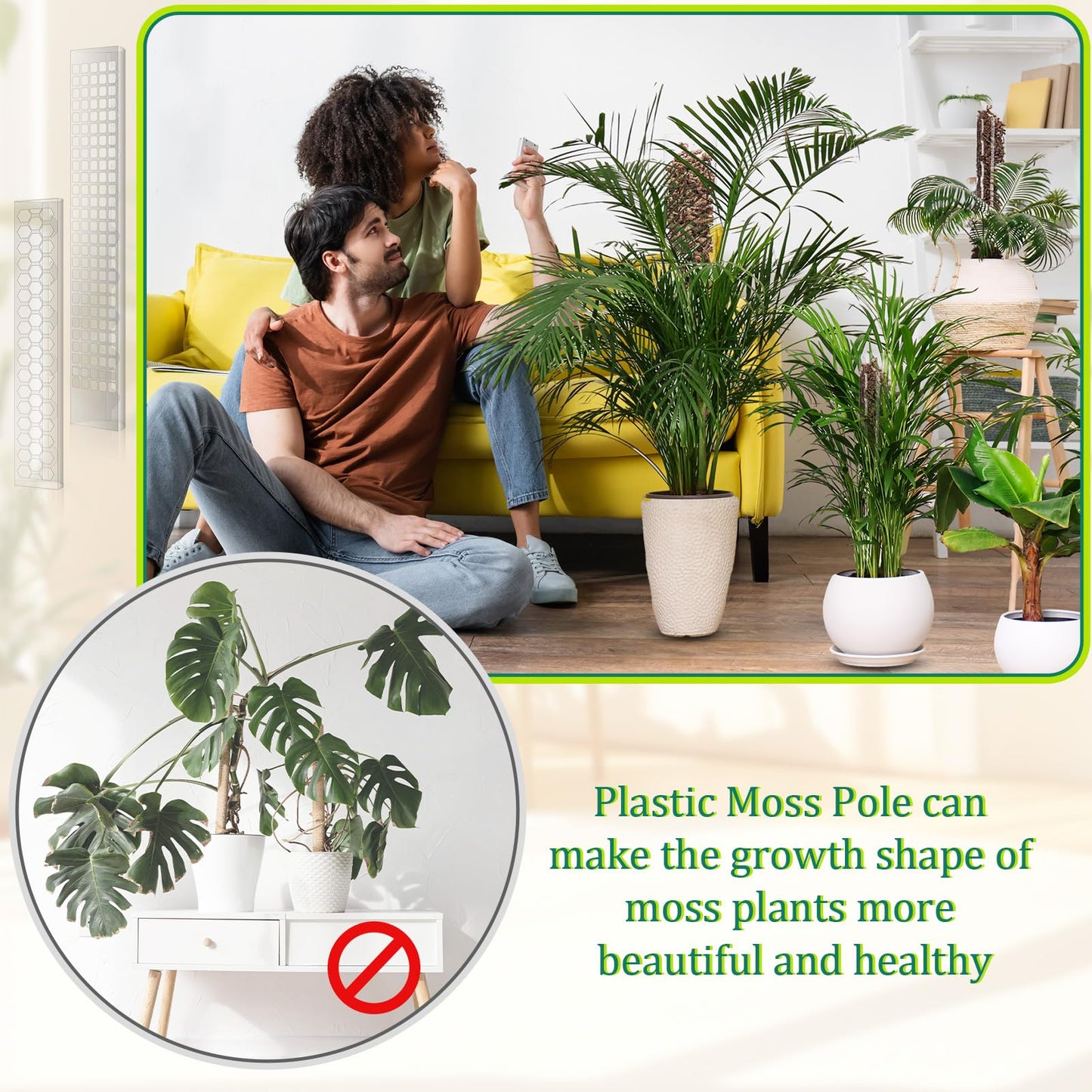 Quzzil 10 Pieces Plastic Moss Pole for Monstera Including 4 Pcs 24 Inch Clear Plant Poles for Indoor Climbing and 6 Pcs 15 Inch D Shape Stackable Plant Support Kit Work with Sphagnum Moss