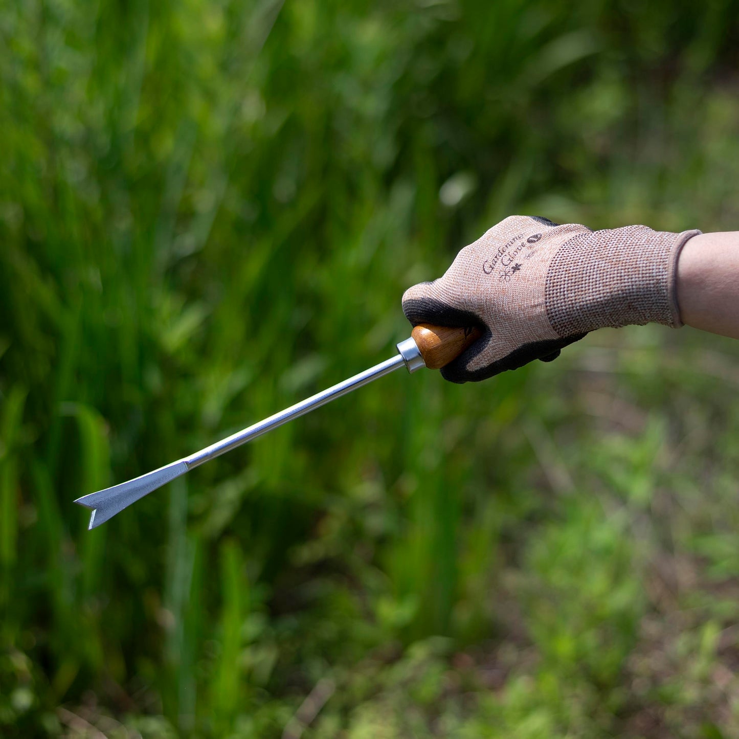 Dandelion Weed Puller Tool Handheld 13" - Garden Weeder Root Removal Tool - Heavy Duty Japanese Steel with Wood Handle - Made in Japan
