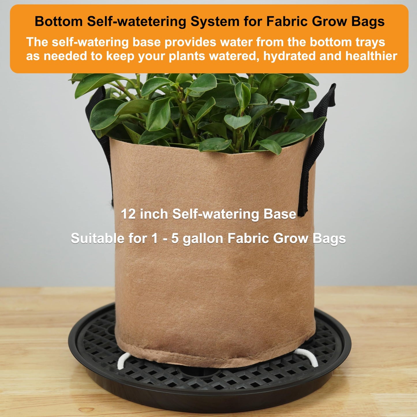8 Pack 12 inch Self Watering Base for Fabric Grow Bag, Self-watering Plastic Elevated Plant Saucer Stand, Automatic Watering Tray for Non-woven Planter Flower Pot Growth Tent Greenhouse Indoor Outdoor